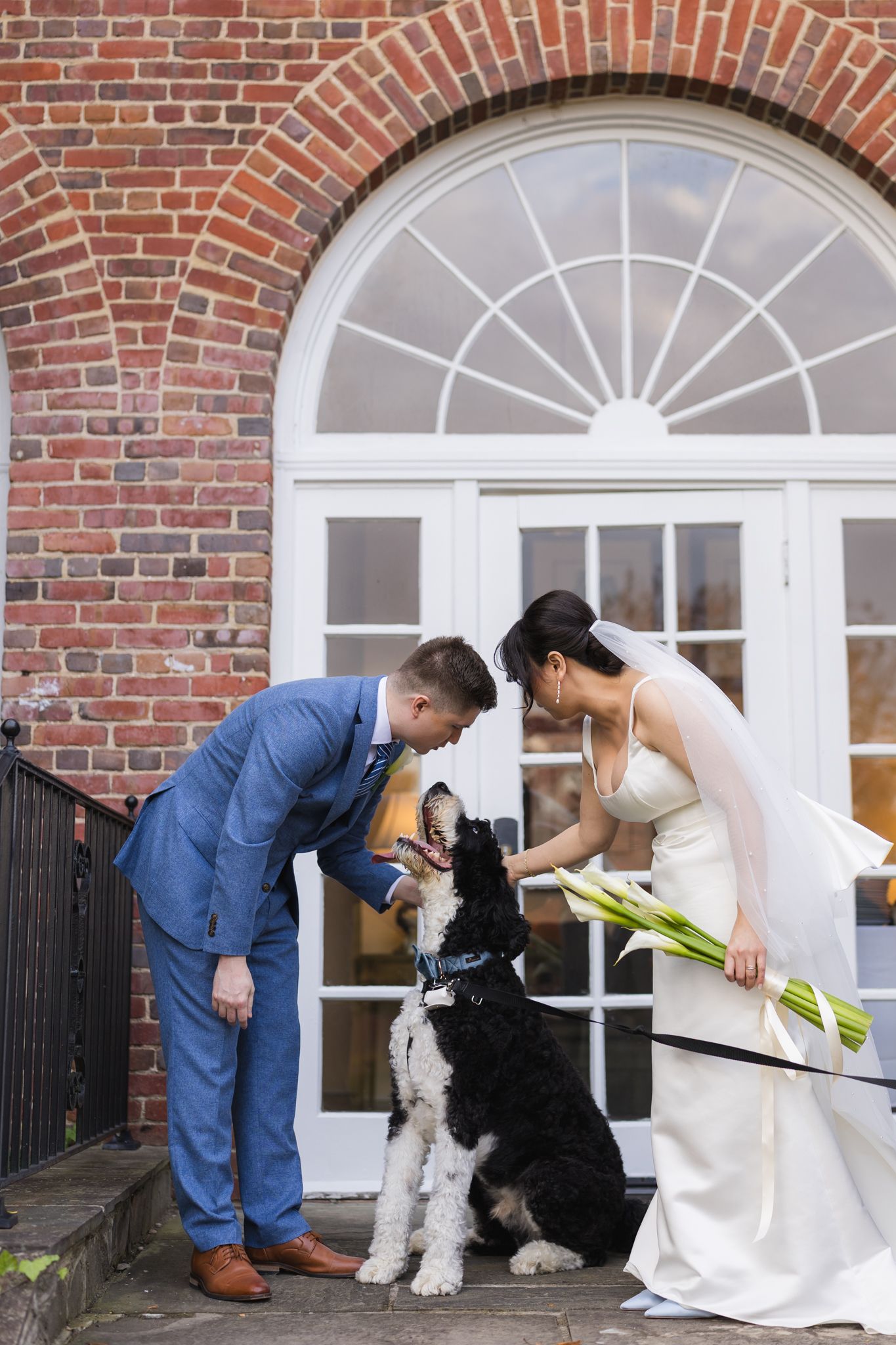 Bride and groom lovingly petting their black and white dog on steps outside a brick wedding venue.
