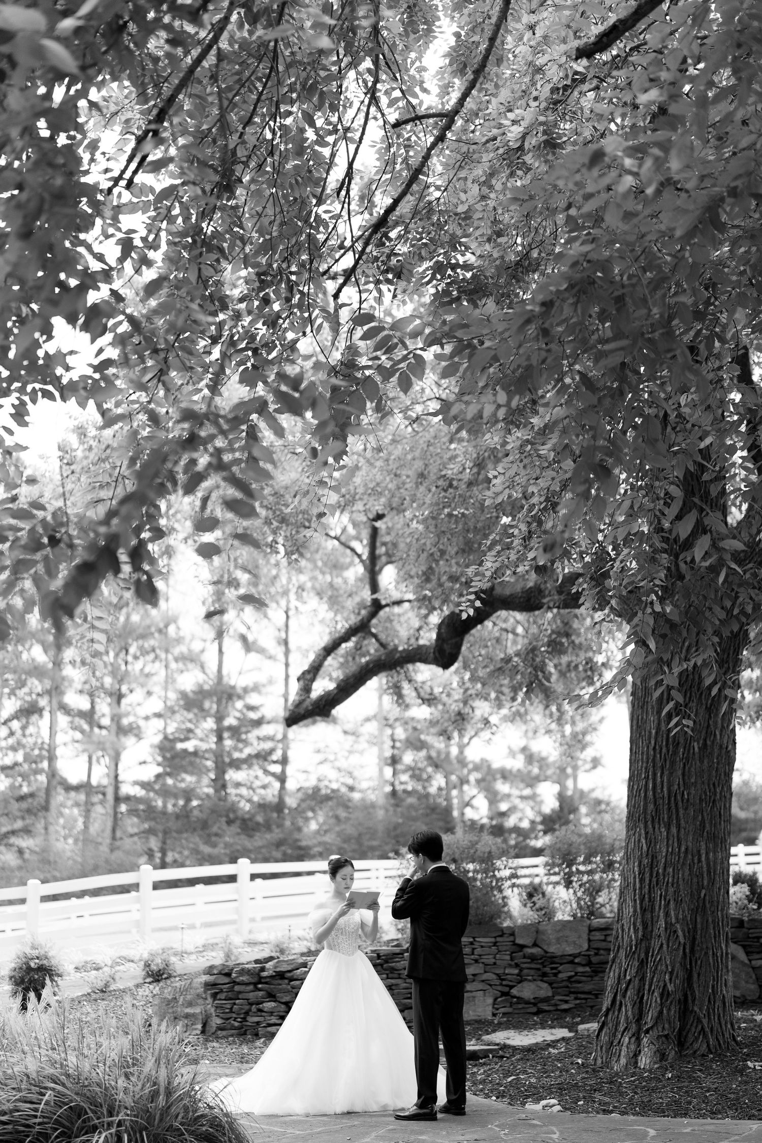 Black and white photo of a bride and groom standing under a large tree at an outdoor wedding venue.