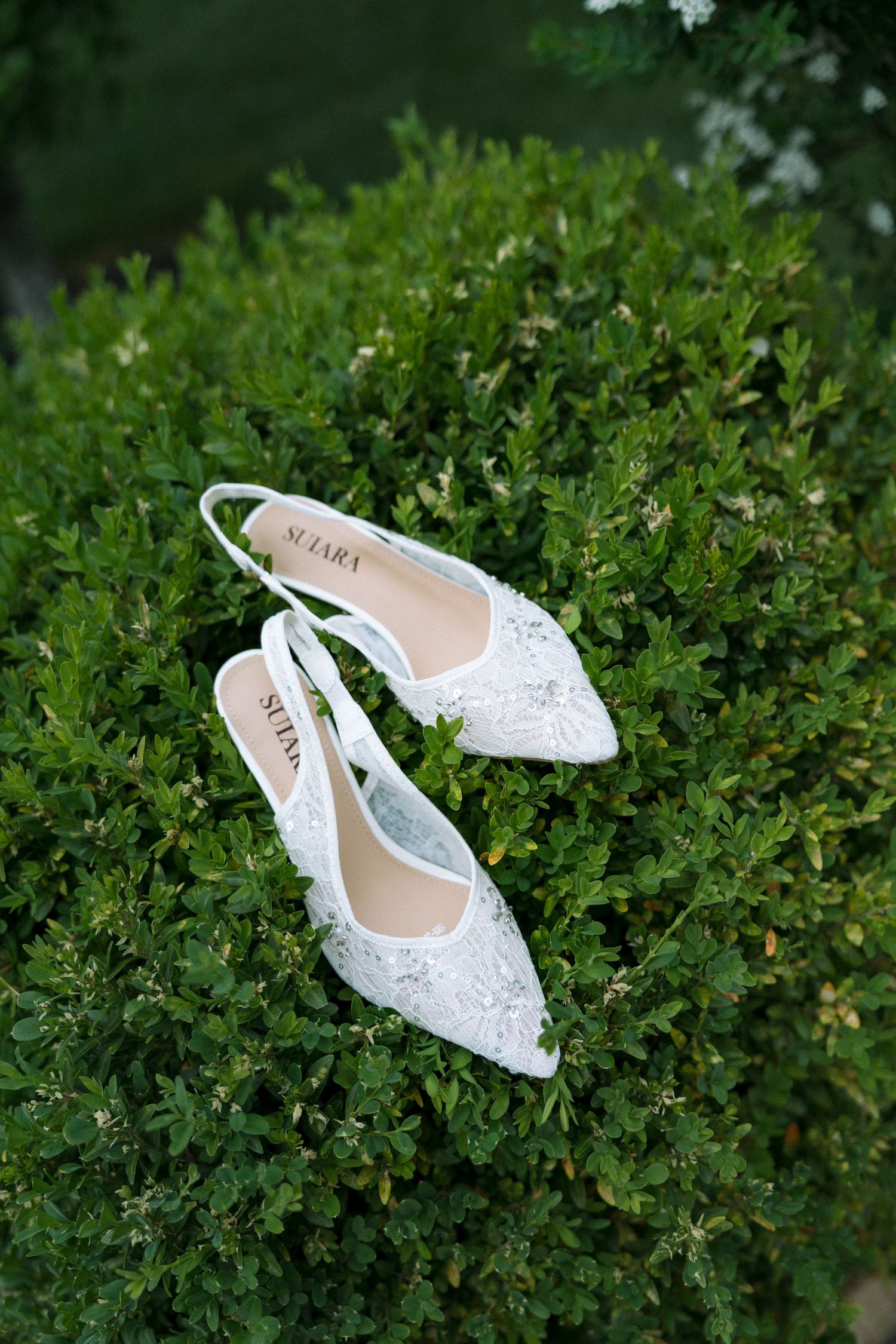 White lace Suara bridal slingback heels displayed on a green trimmed bush outdoors.