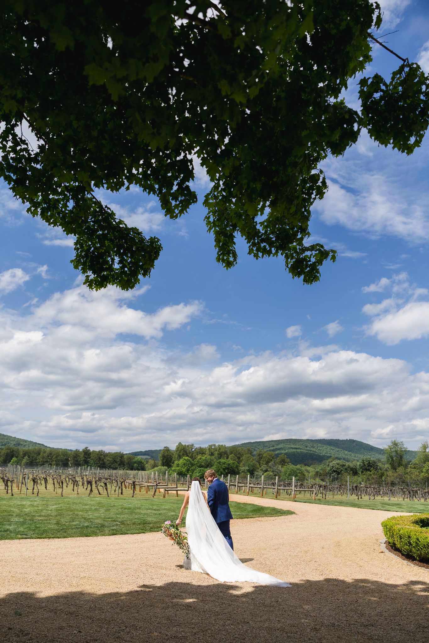 Bride and groom walk hand in hand through a scenic vineyard under a blue sky with rolling hills in the background.