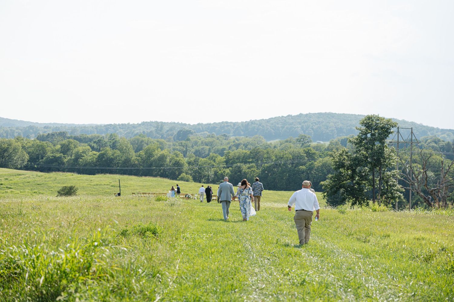 Wedding party walks through a scenic green meadow with tree-lined hills in the background.