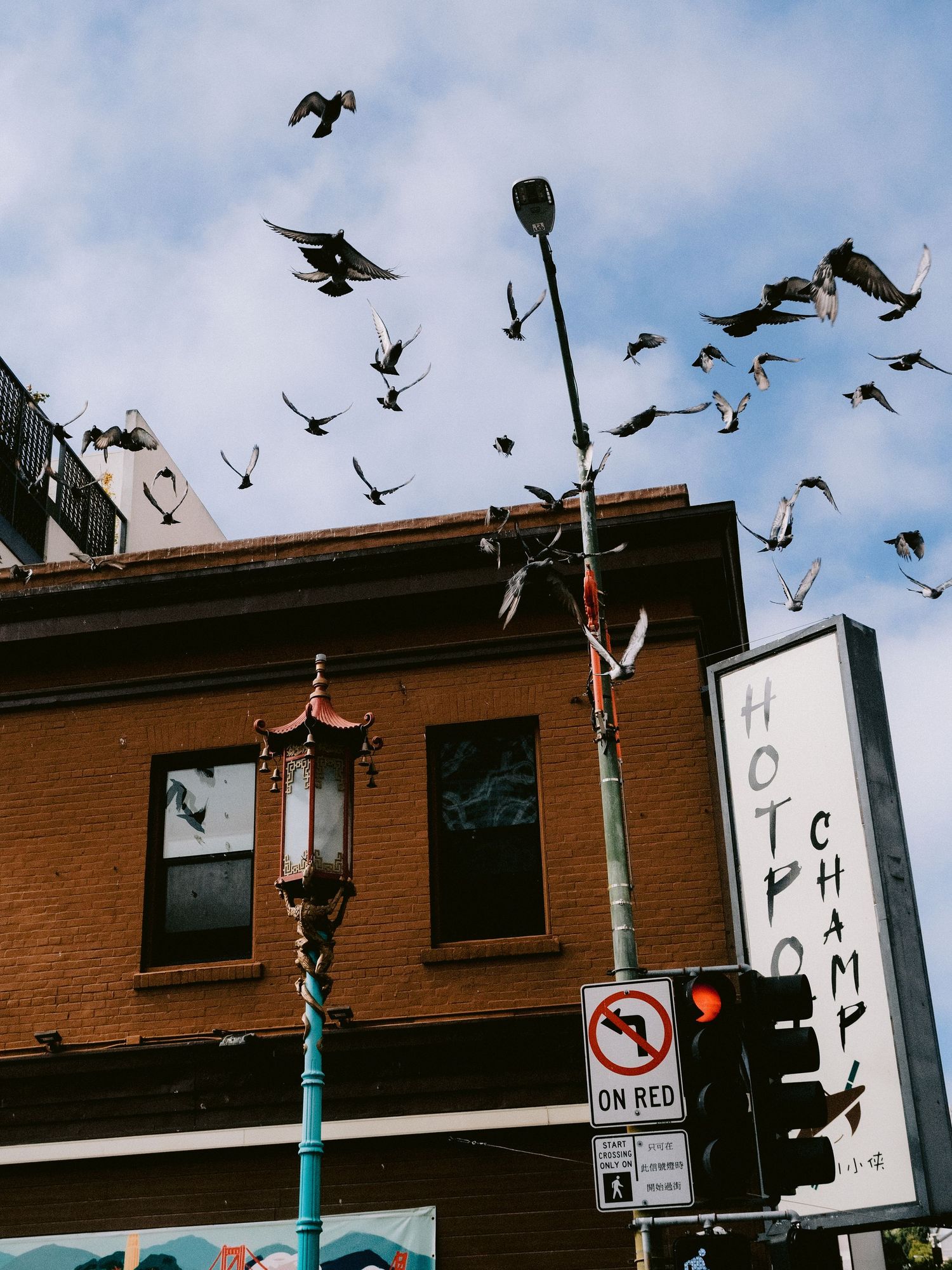 Flock of pigeons taking flight against an urban backdrop with street signs and brick buildings.
