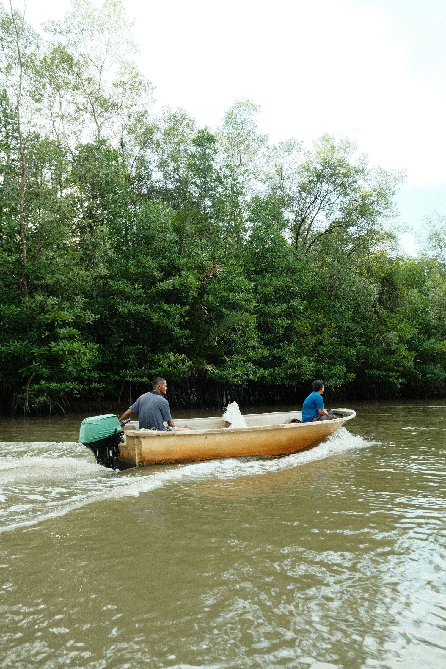 Long wooden boats navigating through muddy river waters surrounded by dense green vegetation.