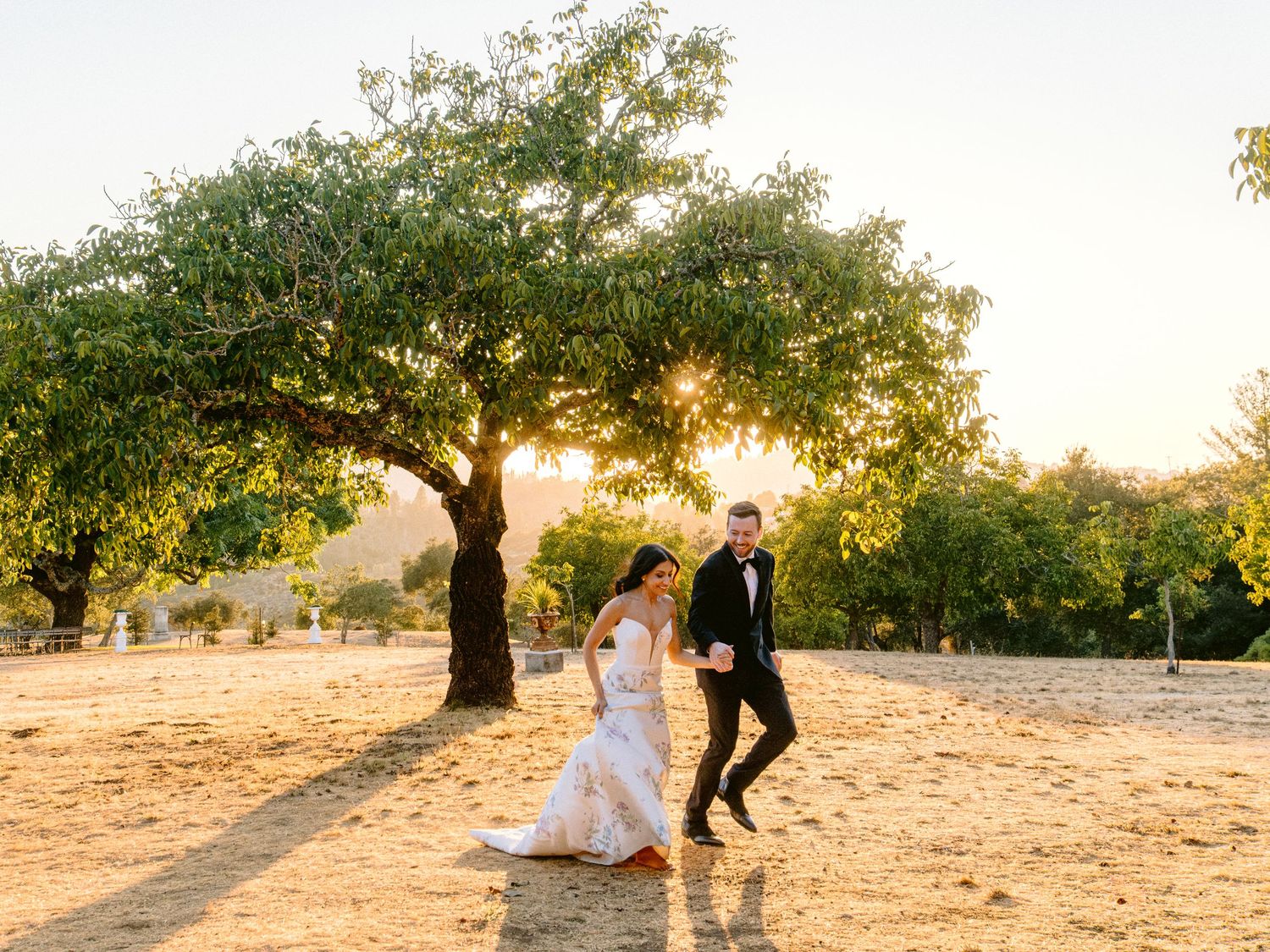 Wedding couple walks through an orchard during golden hour photography session.