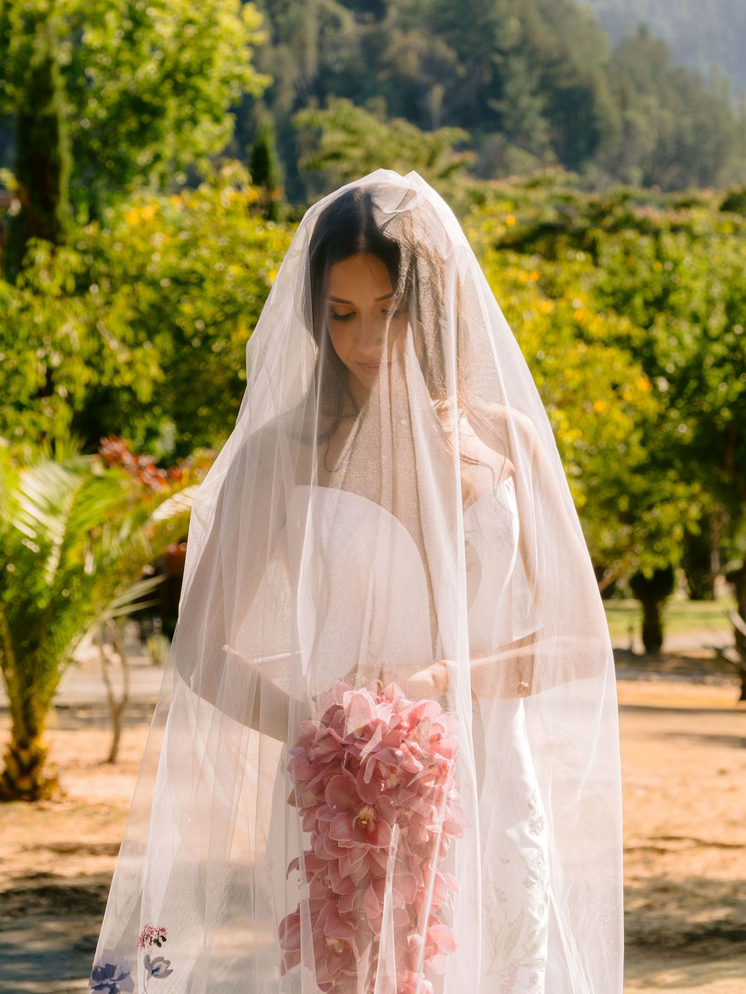 A bride in a delicate veil poses outdoors against a backdrop of sunlit trees and greenery.