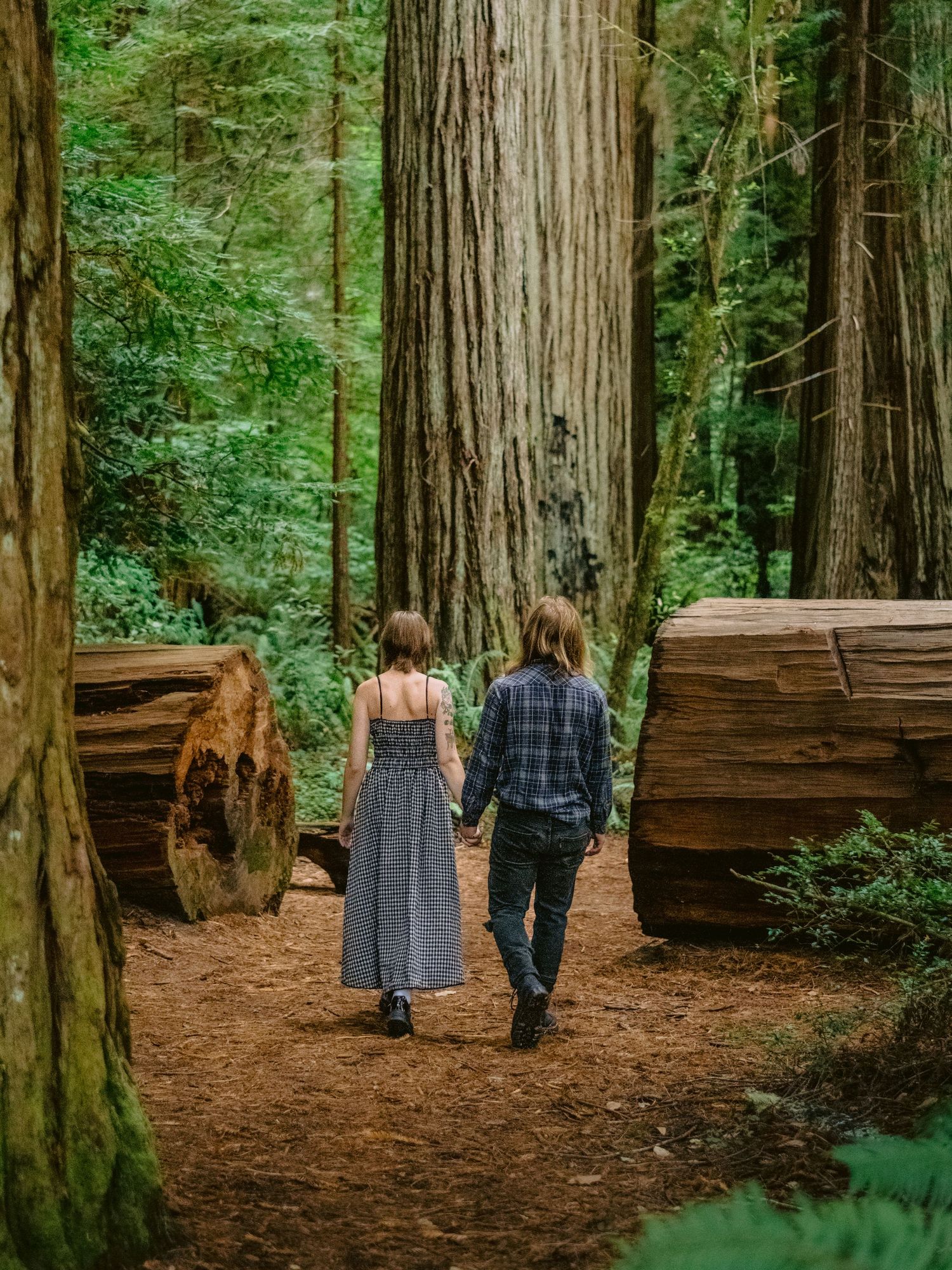 A couple walks hand in hand through a majestic redwood forest.
