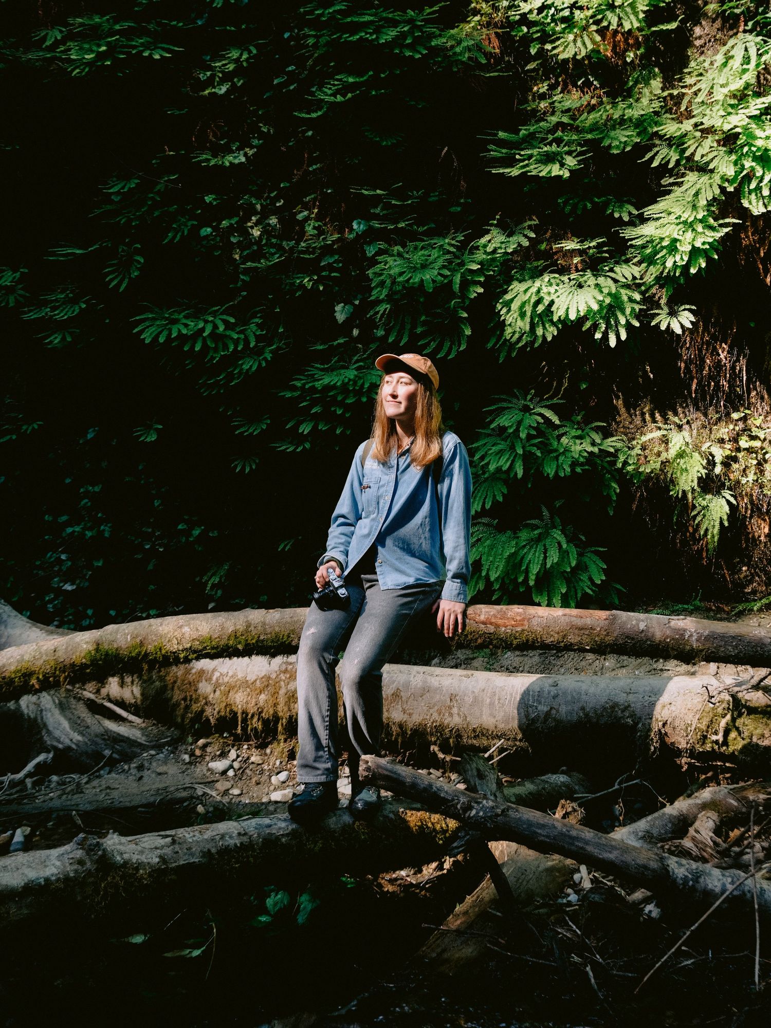A sequence of artistic photos showing someone sitting on fallen logs in a lush forest setting.