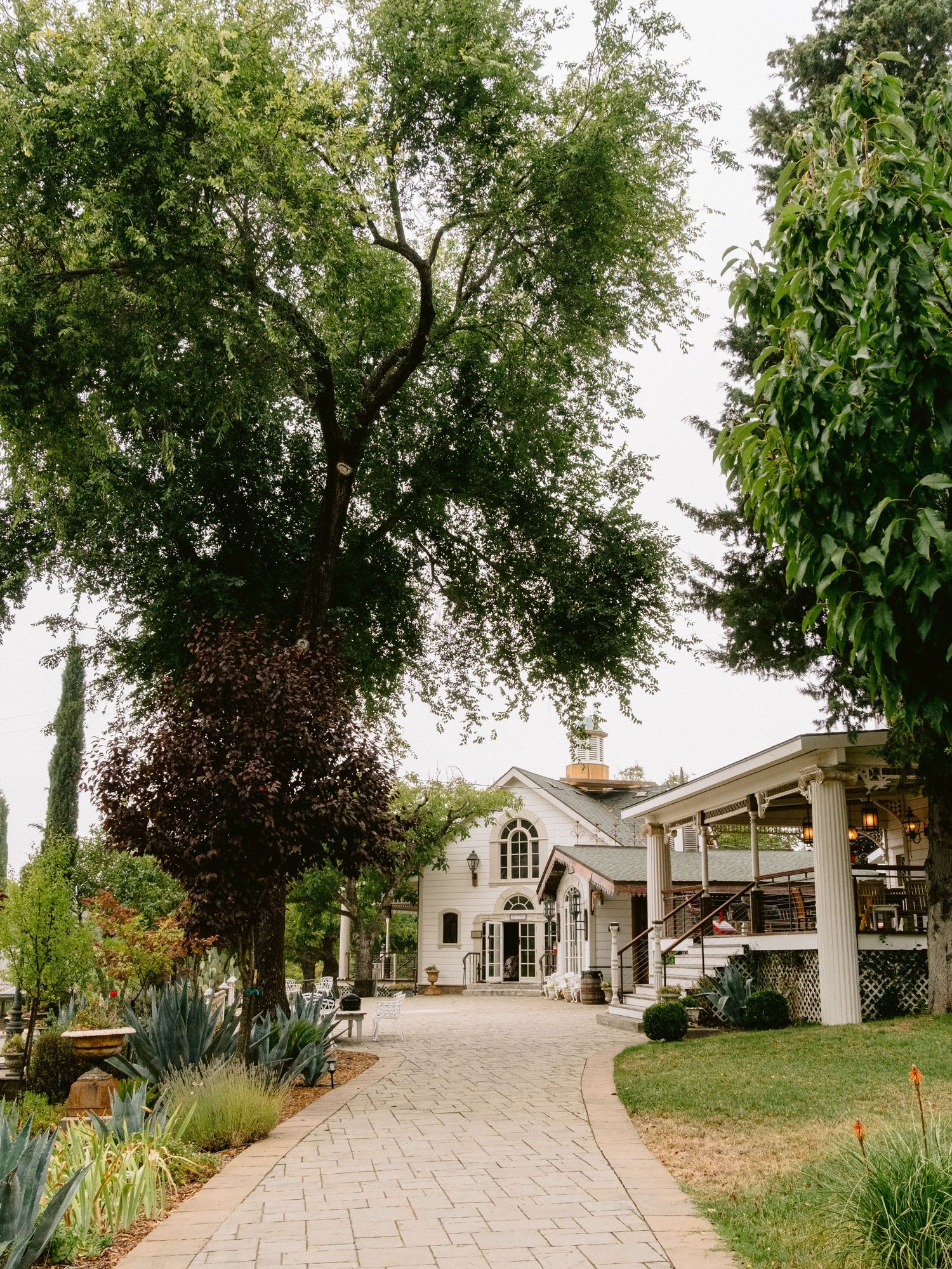 Tree-lined stone pathway leading to an elegant white wedding venue with arched windows.