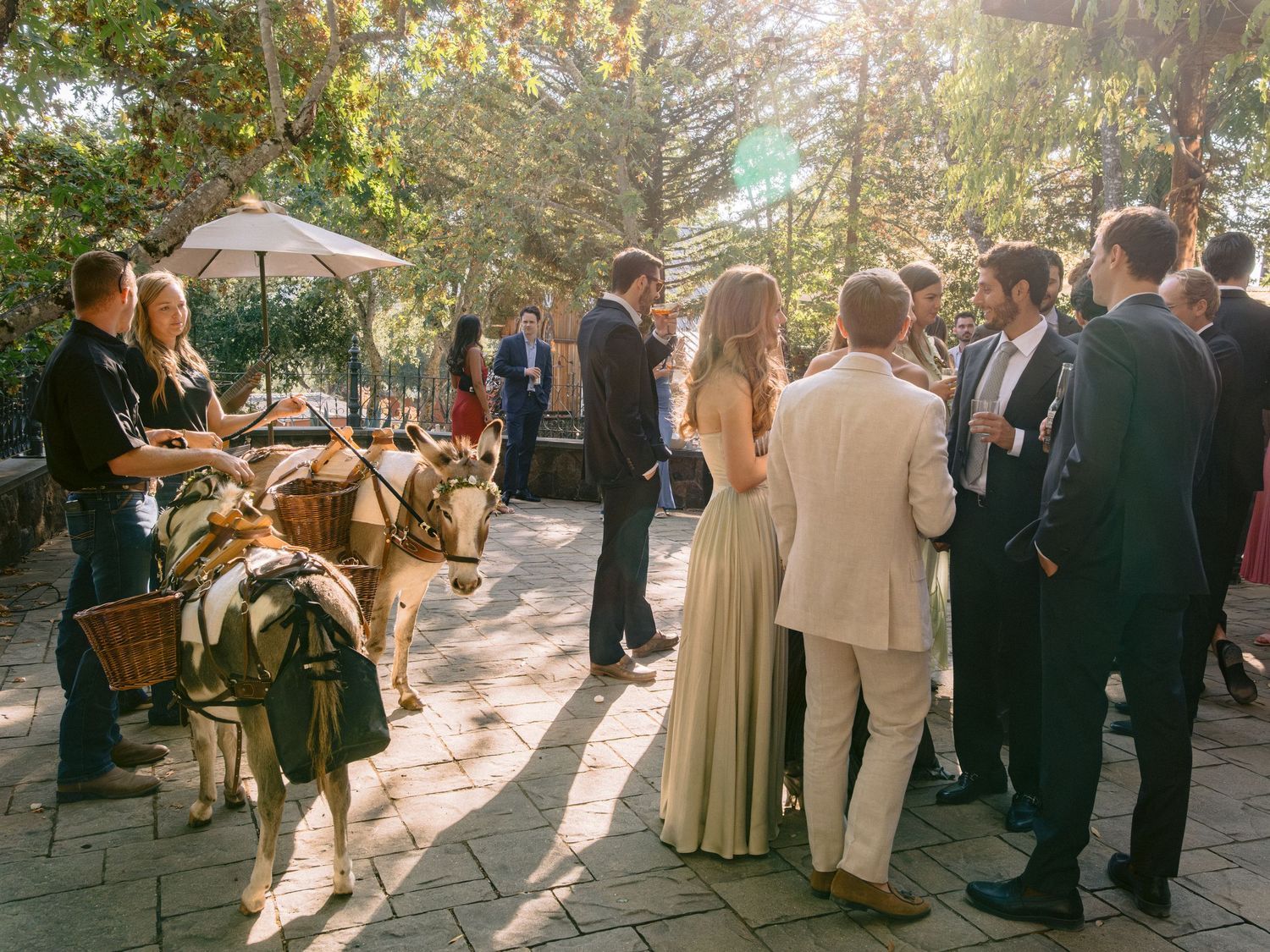 Wedding guests gather outdoors during golden hour with sunlight streaming through the trees.