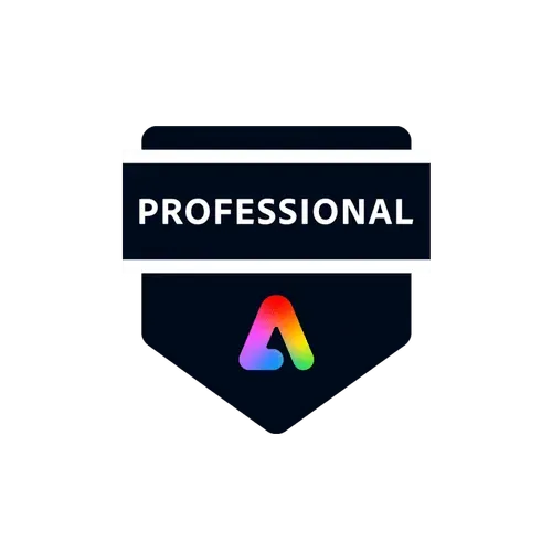 A dark circular badge showing 'Professional' text with a colorful gradient triangle logo against a black background.