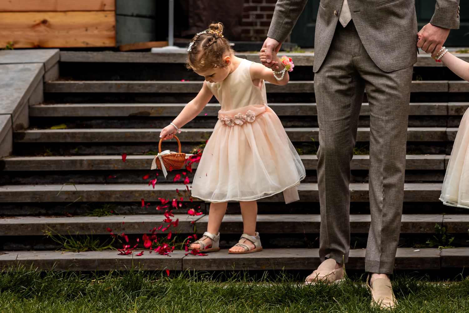 A flower girl in a blush dress scatters rose petals down wooden steps at an outdoor wedding ceremony.