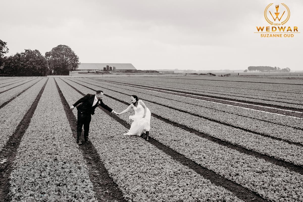 Black and white wedding portrait of couple walking through lined agricultural field.
