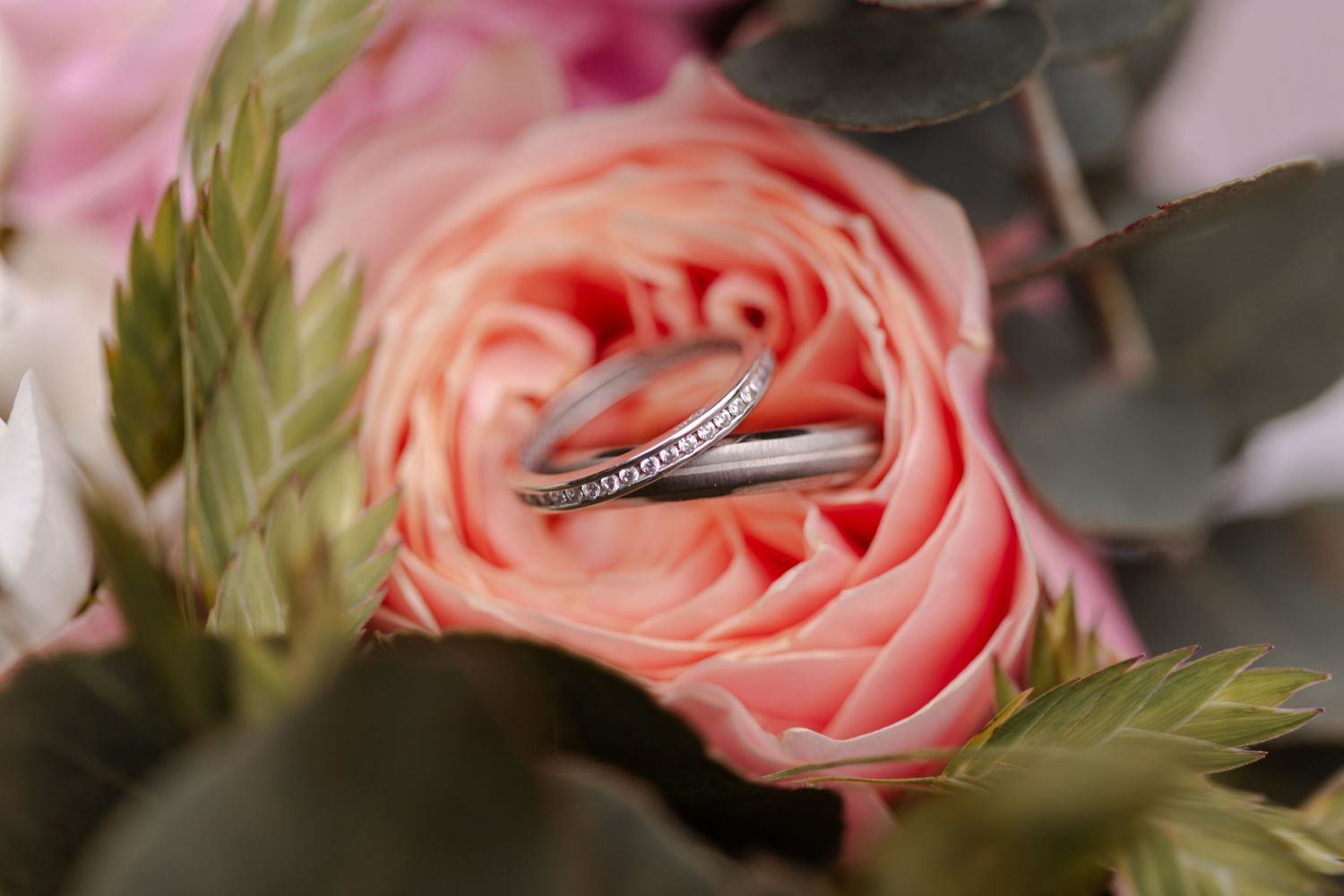 Wedding rings nestled in the petals of a pink rose with delicate green foliage.