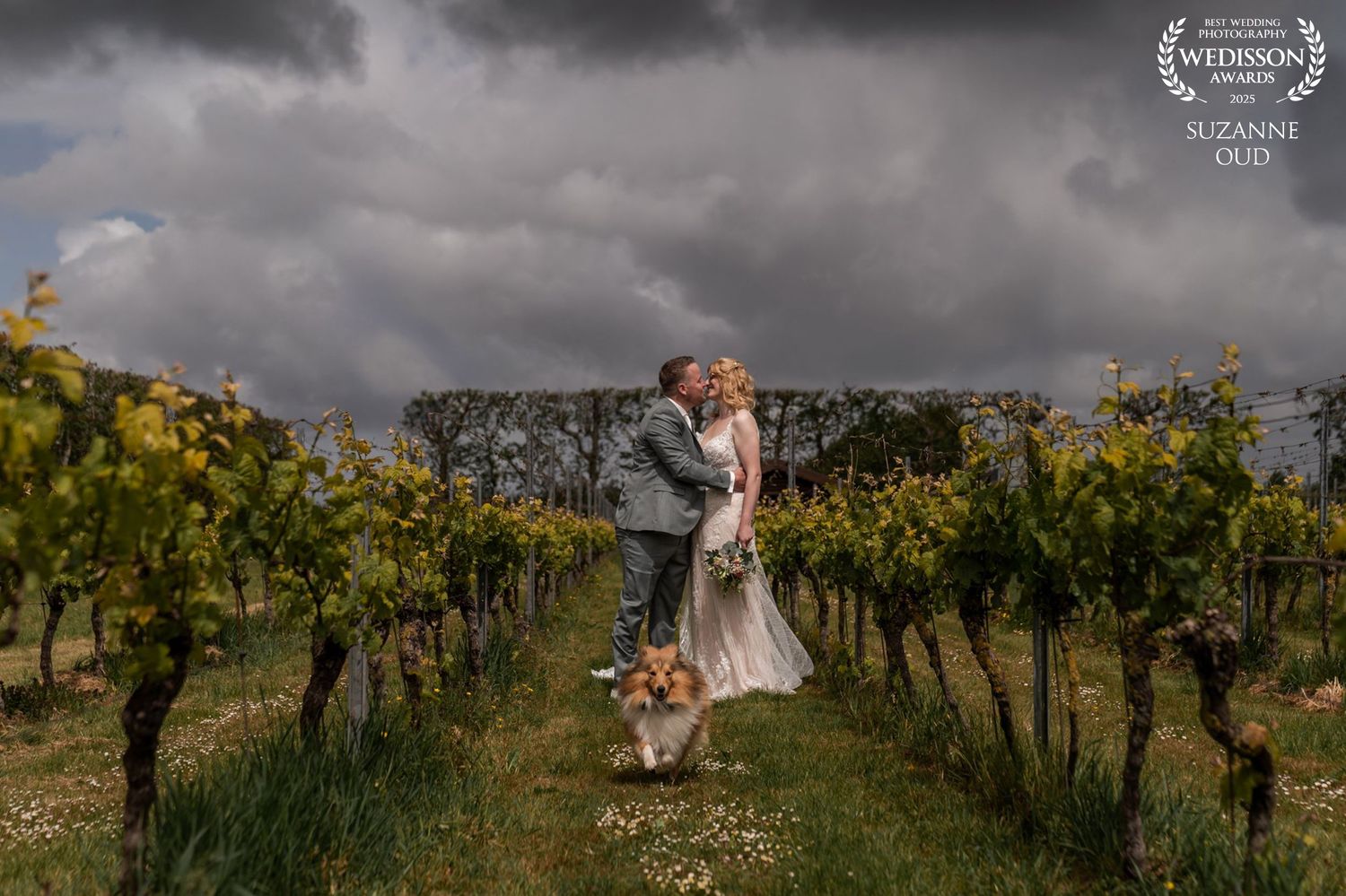 Newlyweds embrace in a vineyard with their dog while dramatic storm clouds gather overhead.