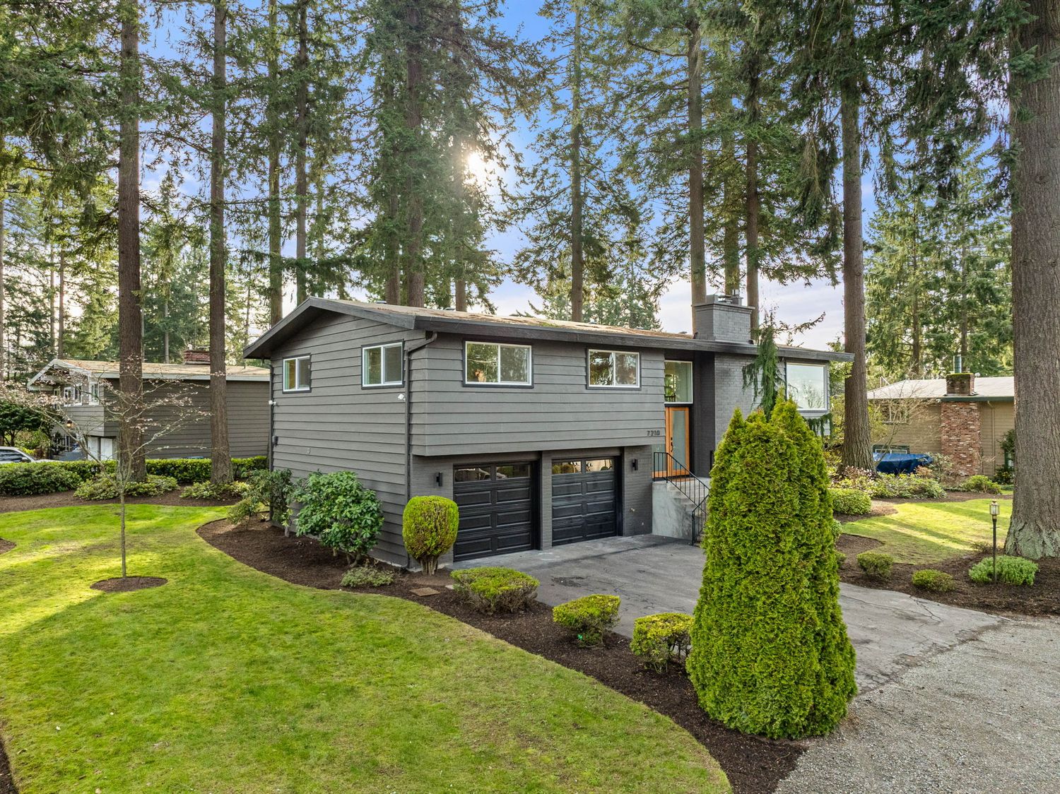Panoramic view of a modern suburban backyard with evergreen trees, manicured lawn and grey house exterior.