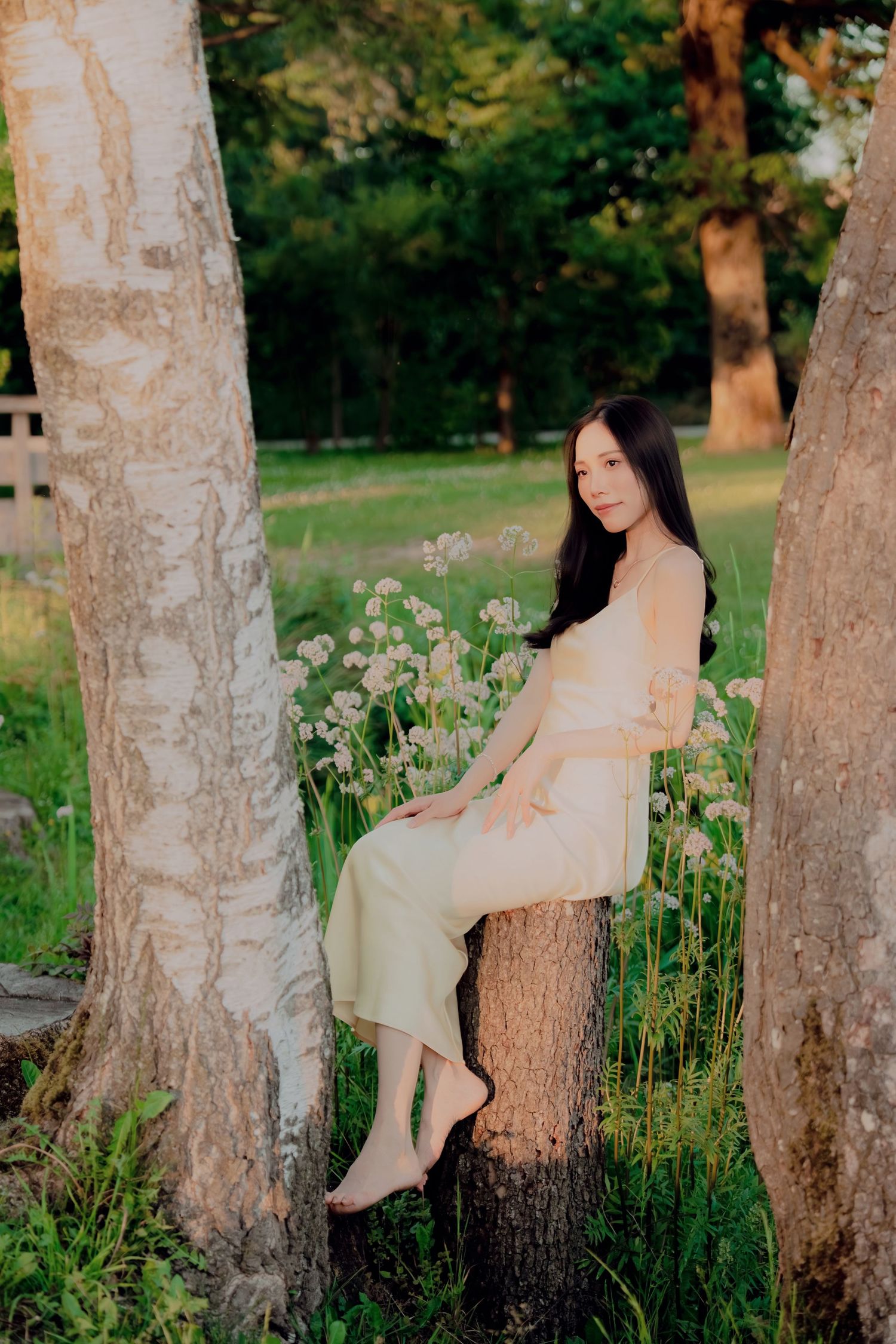 Elegant young woman in cream dress sits barefoot on a tree stump between two birch trees in a sunny park.