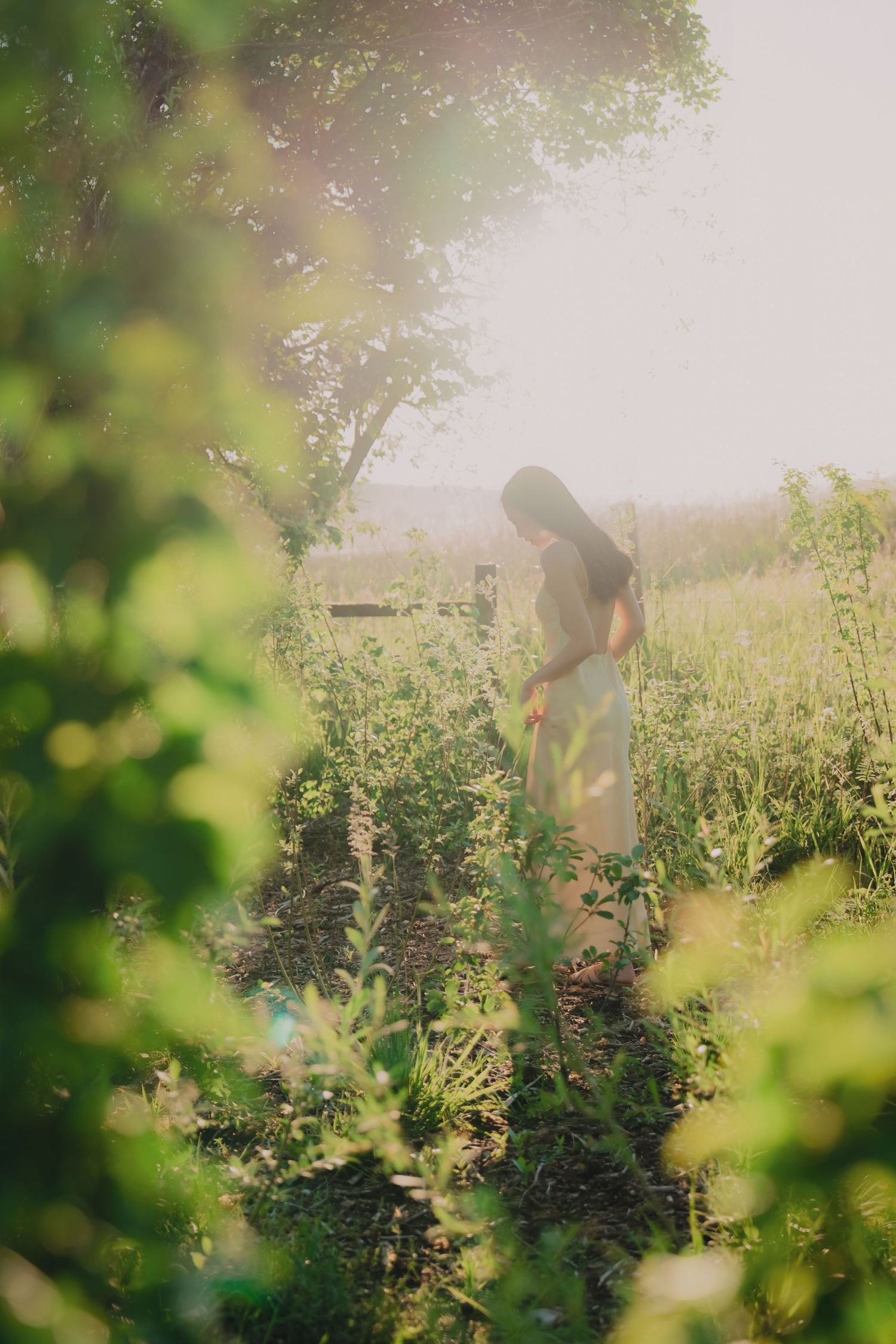 Woman in light dress tending to garden plants in golden sunlight with lush green foliage.