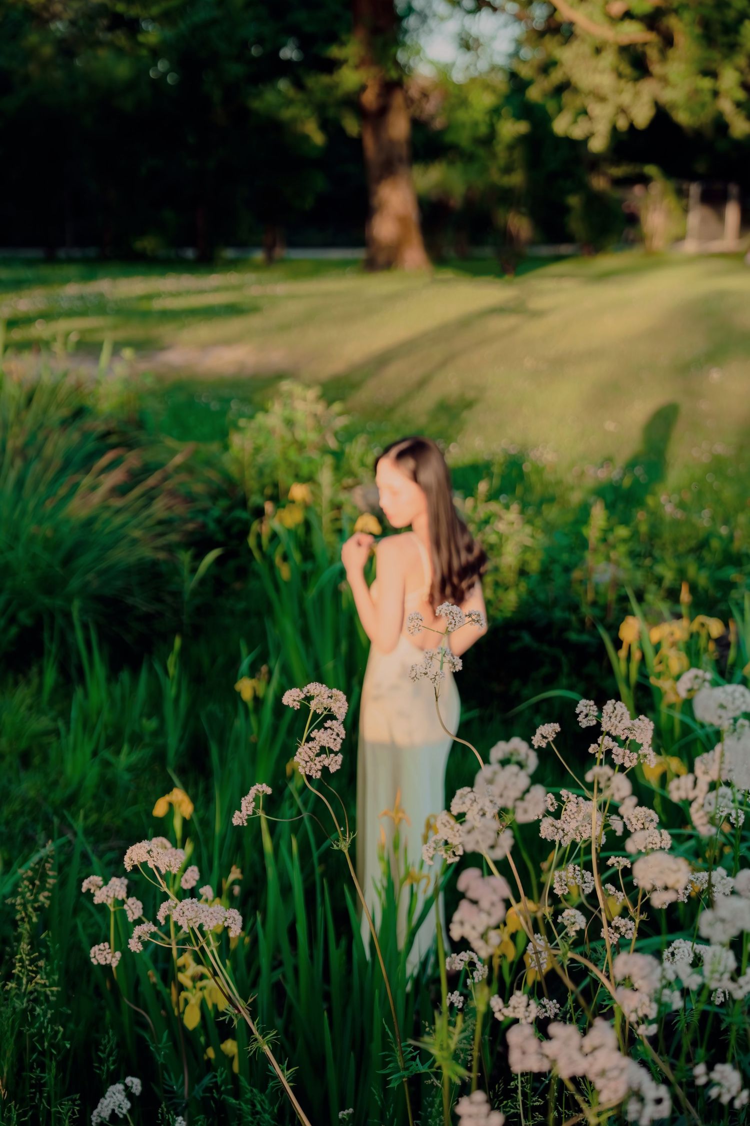 Woman in white dress standing among wildflowers and green grass in golden sunlight.