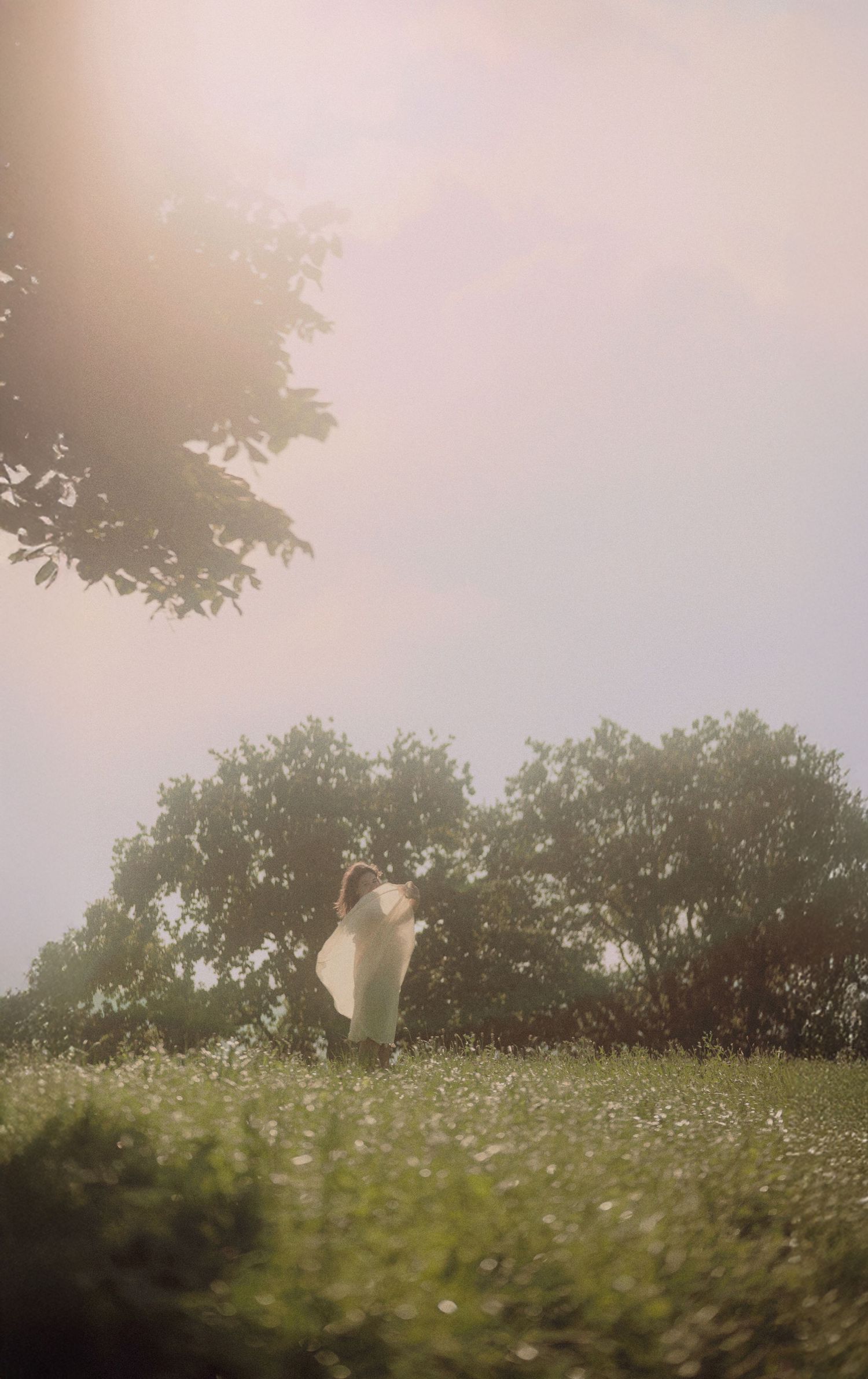 Woman in white dress standing in misty meadow surrounded by trees in soft dreamy light.