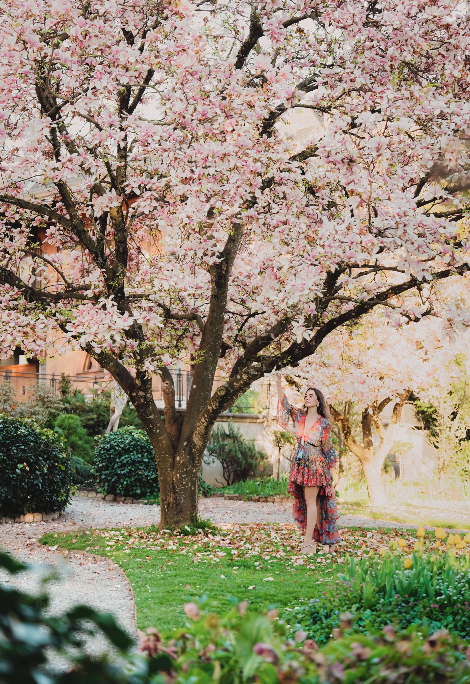 Woman in colorful boho dress stands beneath a blooming pink cherry blossom tree.