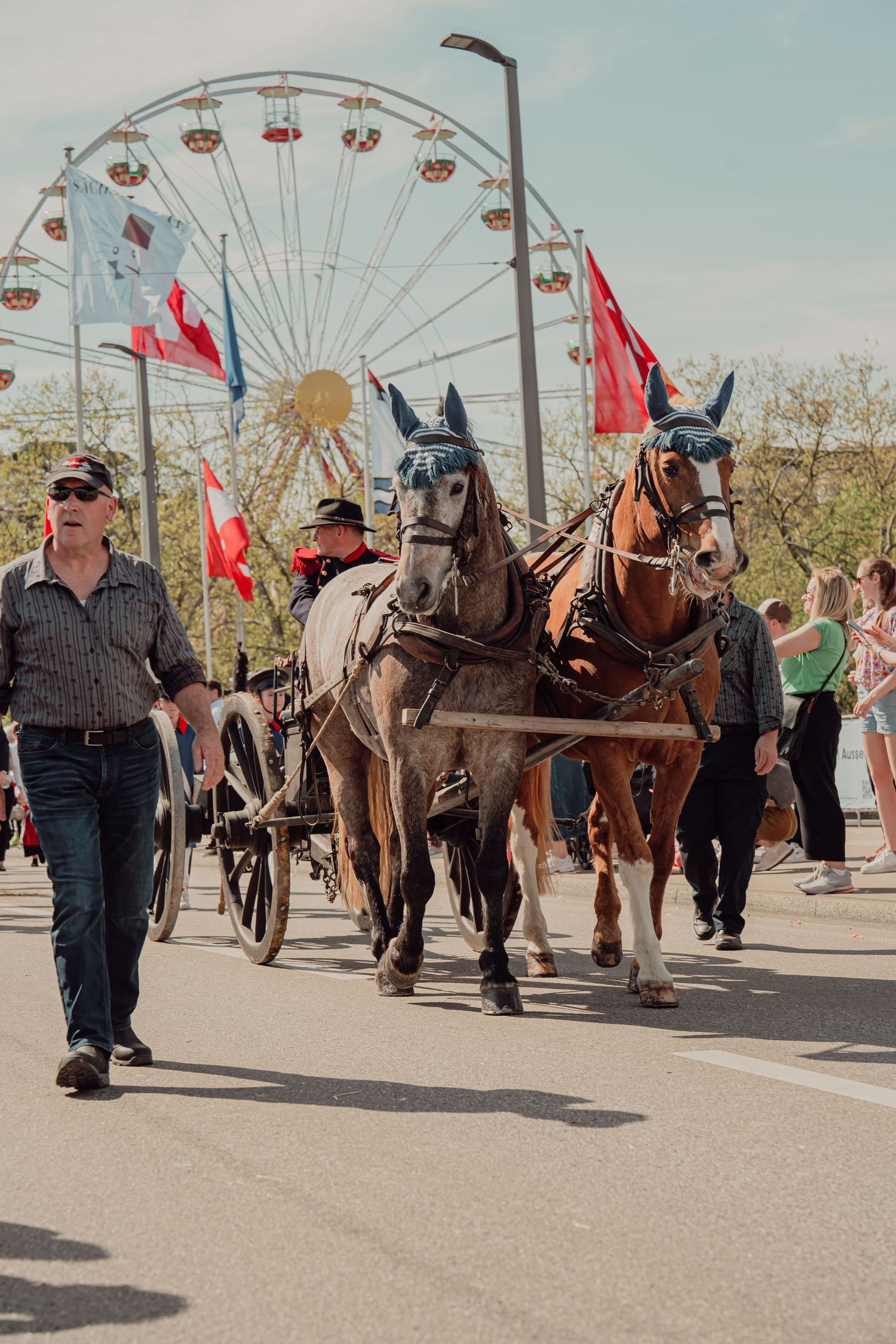 Two harnessed brown horses pulling a carriage in a street parade with a Ferris wheel in the background.