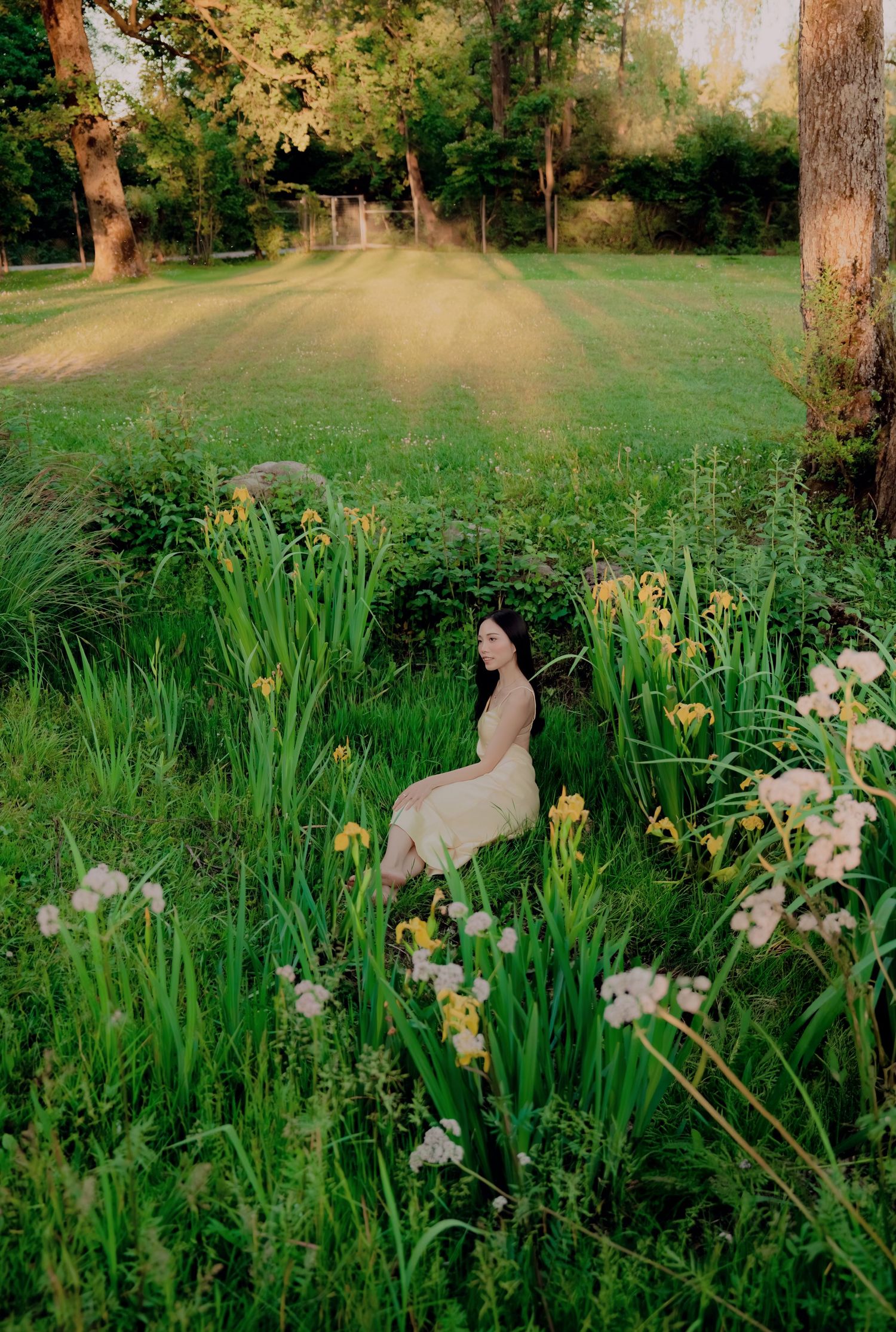 Woman in cream dress sitting among wildflowers and iris blooms in sunlit garden meadow.