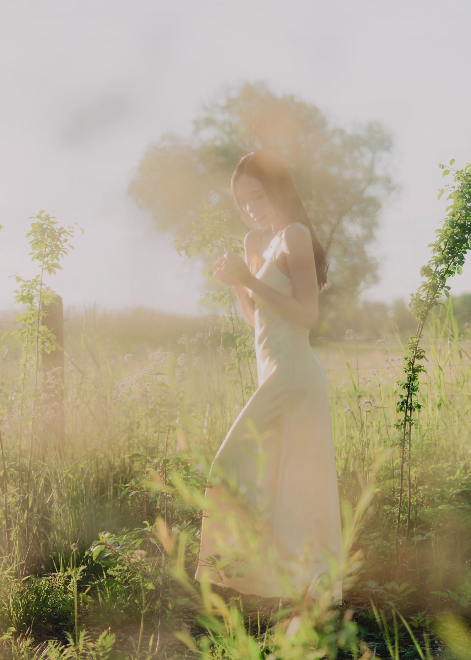 A woman in a white dress stands among lush green wildflowers in a dreamy, soft-focus outdoor field setting.