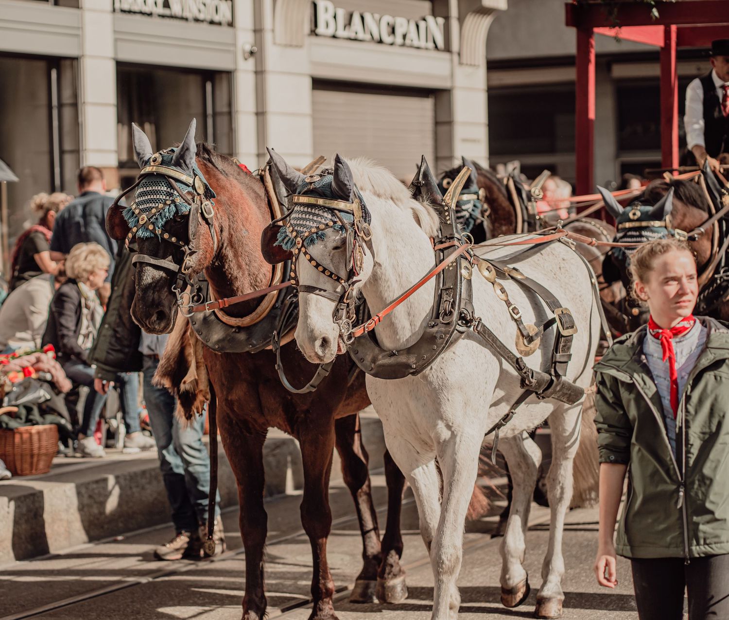Three harnessed horses, brown and white, stand on a city street during a traditional festival parade.