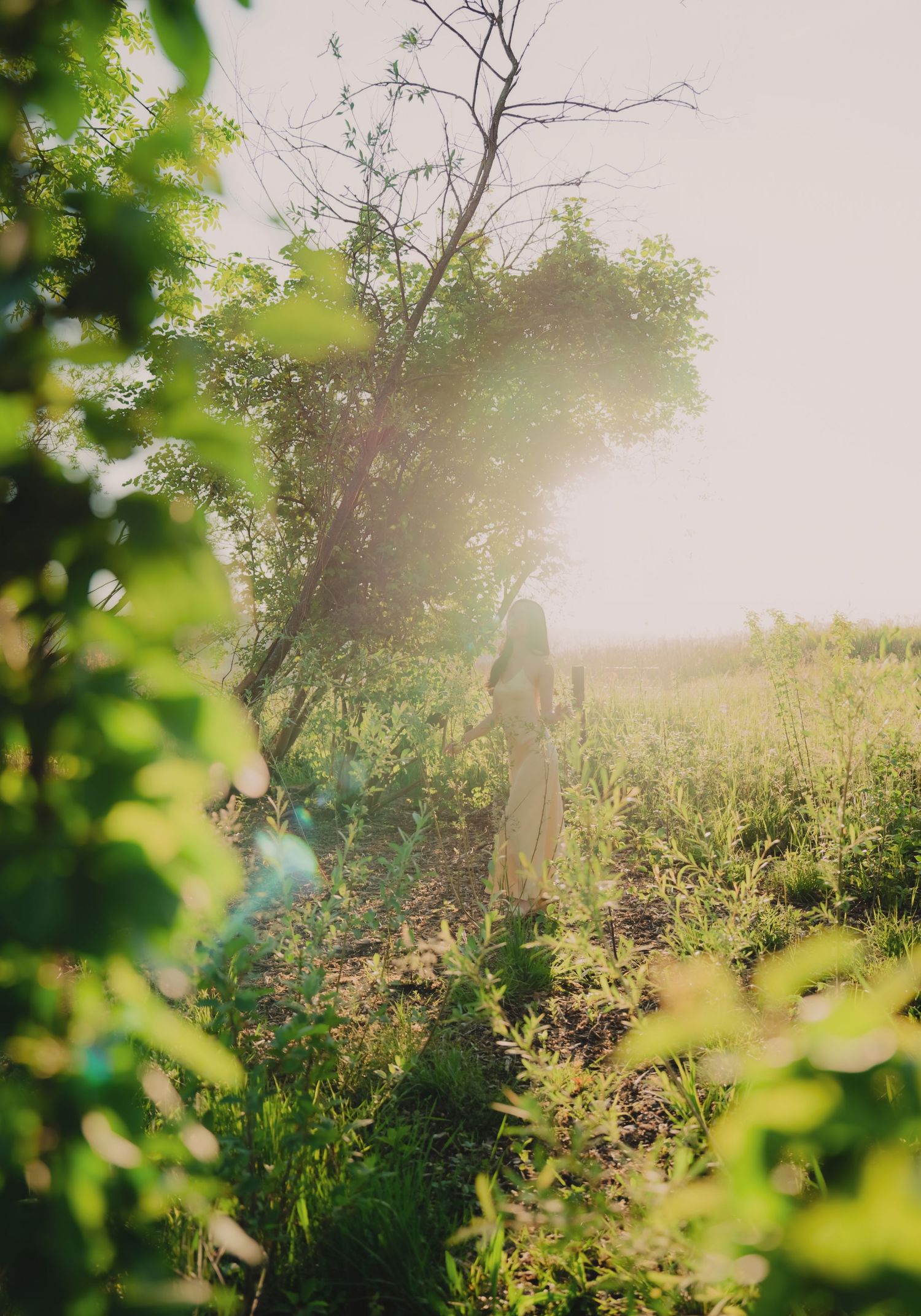 Woman in dress standing in sunlit green field near trees.