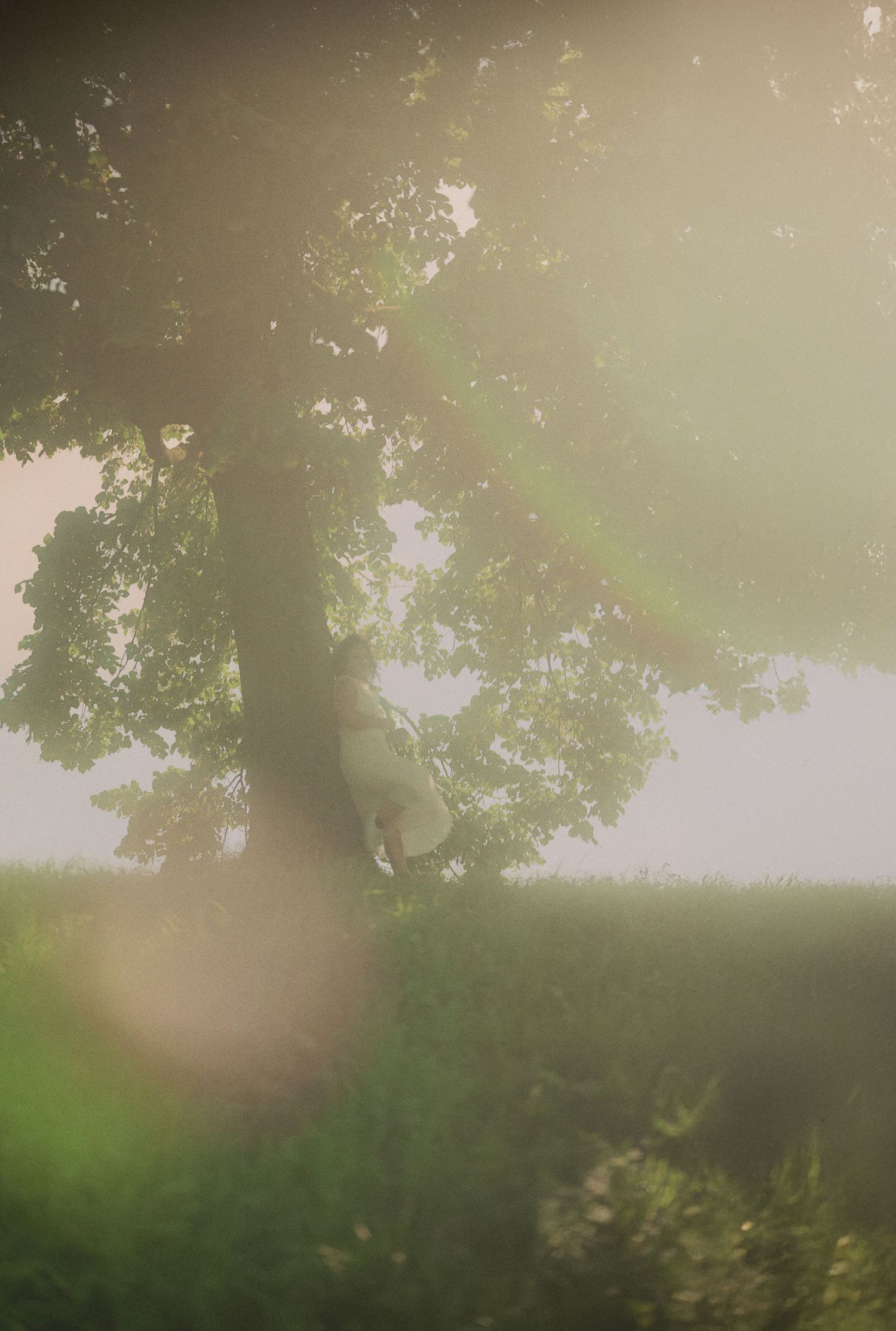 Misty ethereal scene of person near large tree trunk surrounded by soft glowing light.