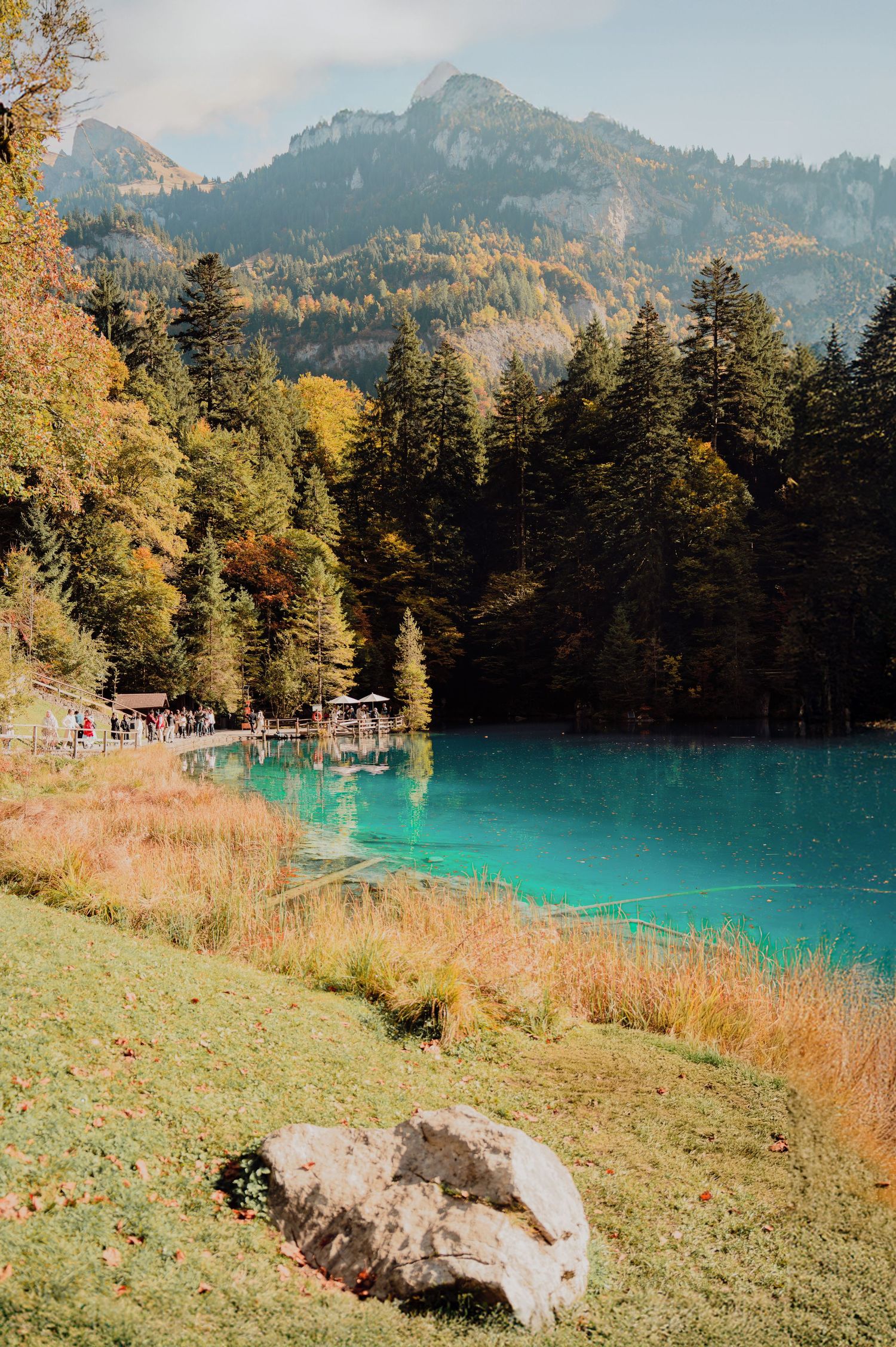 Scenic turquoise alpine lake with autumn foliage, evergreen trees, and mountain backdrop in Switzerland.