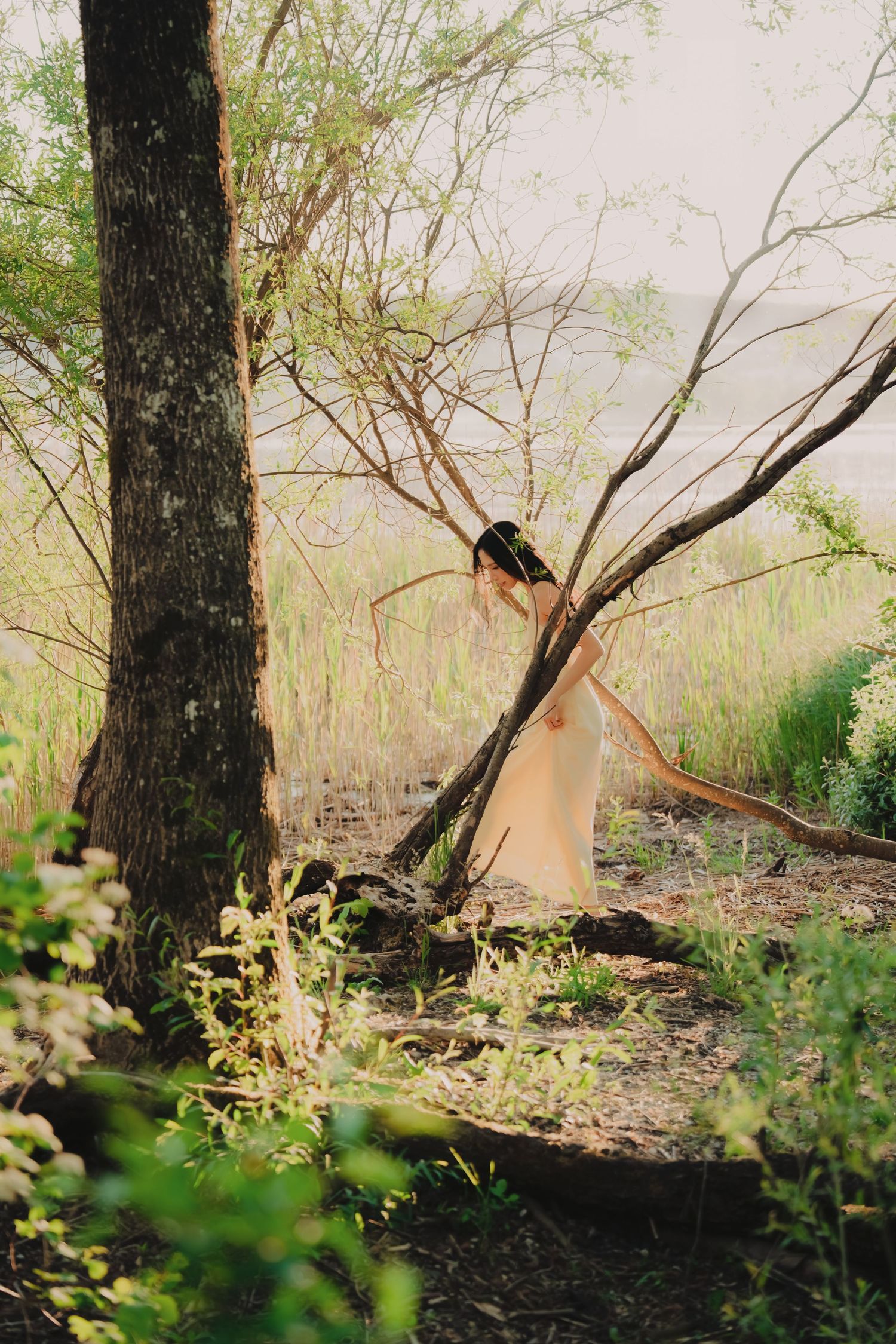 Woman in flowing cream dress standing among trees in a misty forest landscape.