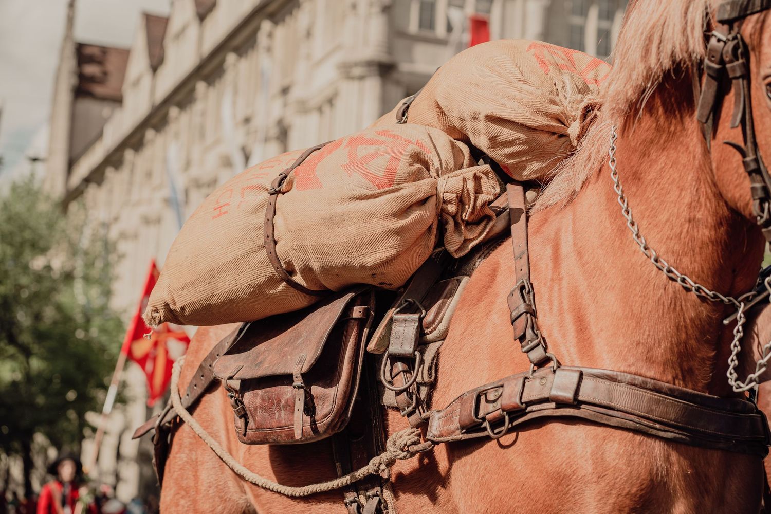 A chestnut draft horse carrying heavy burlap sacks in traditional harness during a street parade.