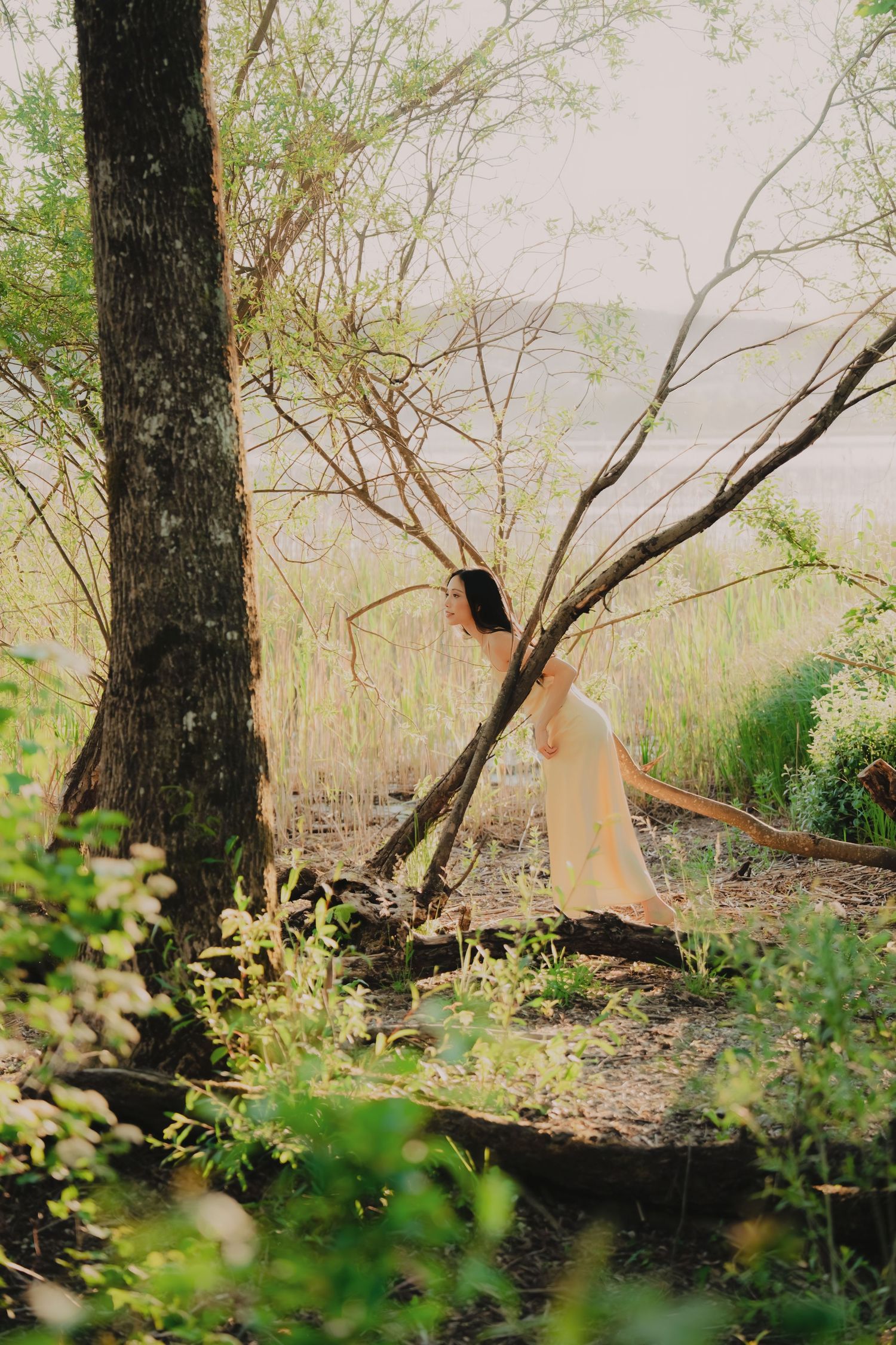 Woman in flowing cream dress leans against bare tree branches near a misty lakeside in a serene forest.