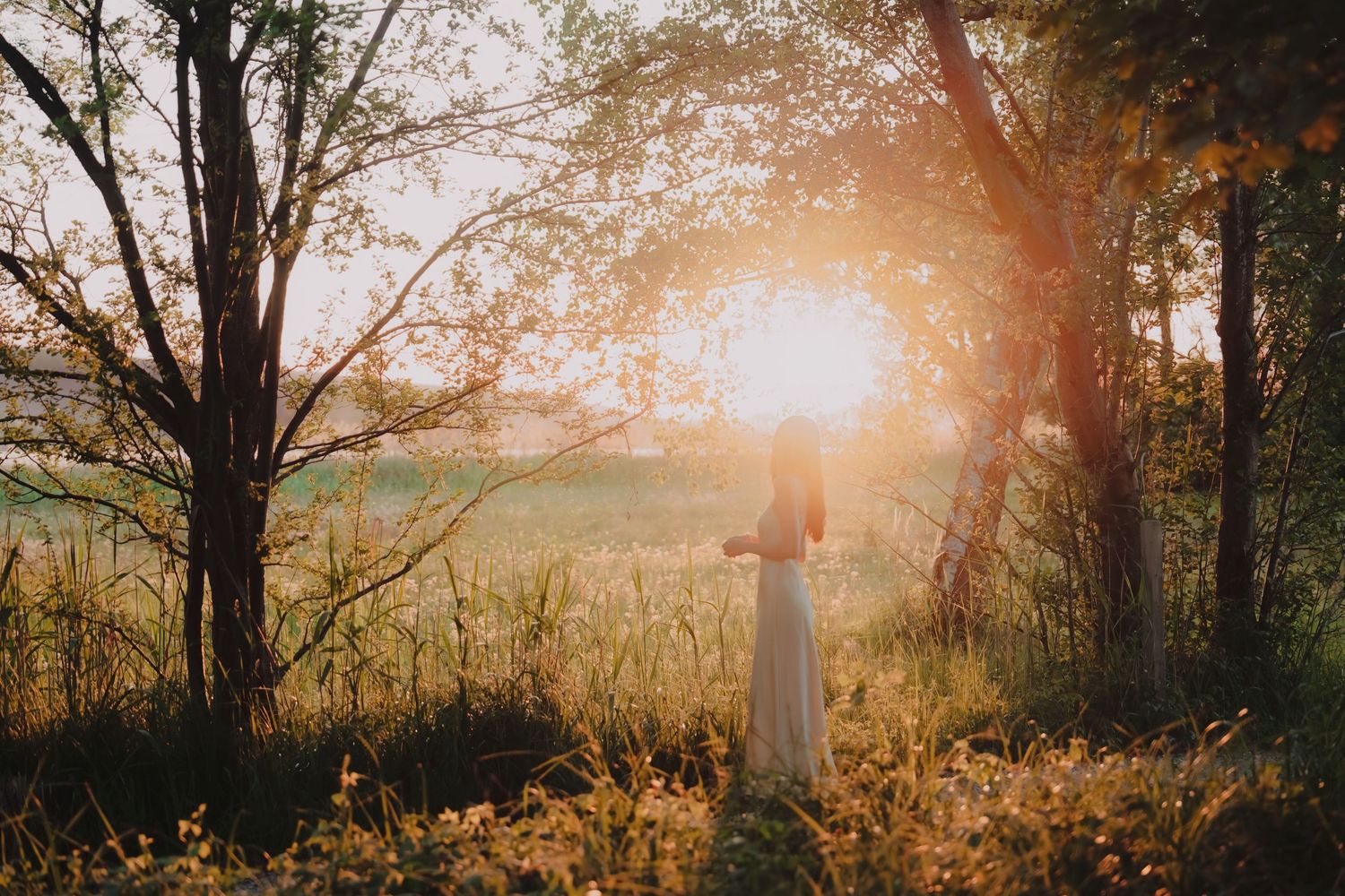 Woman in white dress standing in golden sunlight streaming through trees in a meadow.