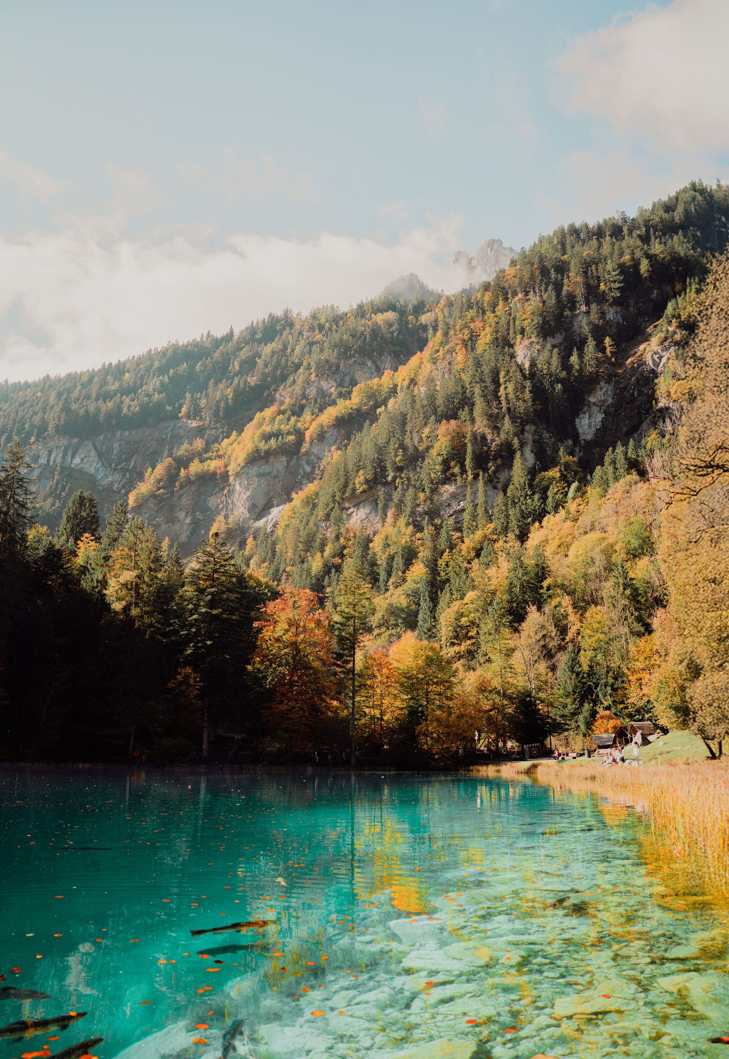 Stunning turquoise alpine lake reflecting colorful autumn forest and mountain landscape.