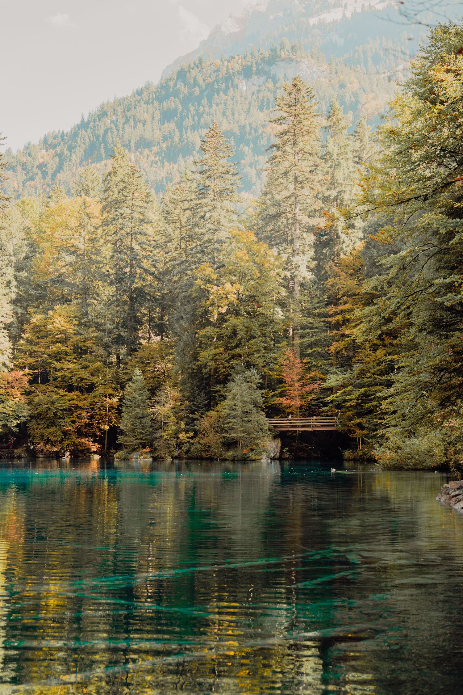 Serene turquoise alpine lake reflecting colorful autumn forest trees with a wooden bridge and mountain view.