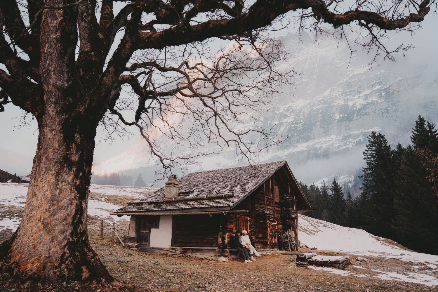 Rustic wooden cabin nestled in snowy Alpine landscape with bare tree and mountain backdrop in winter.
