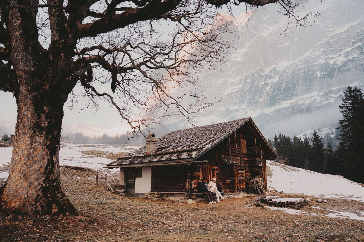 Rustic wooden chalet beneath a bare tree in a snowy alpine valley with misty mountain peaks in background.