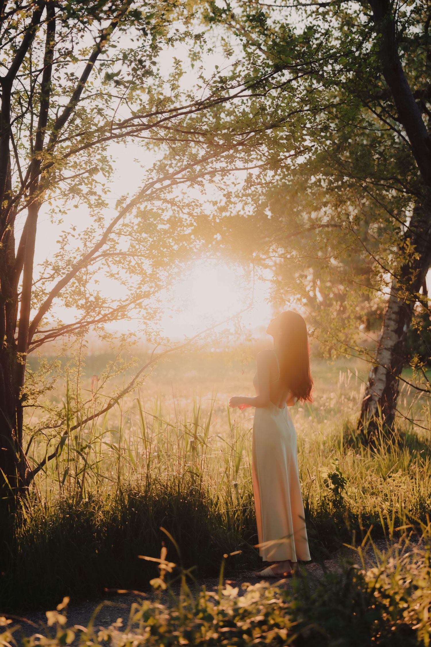 Woman in white dress standing under birch trees bathed in warm golden sunset light.