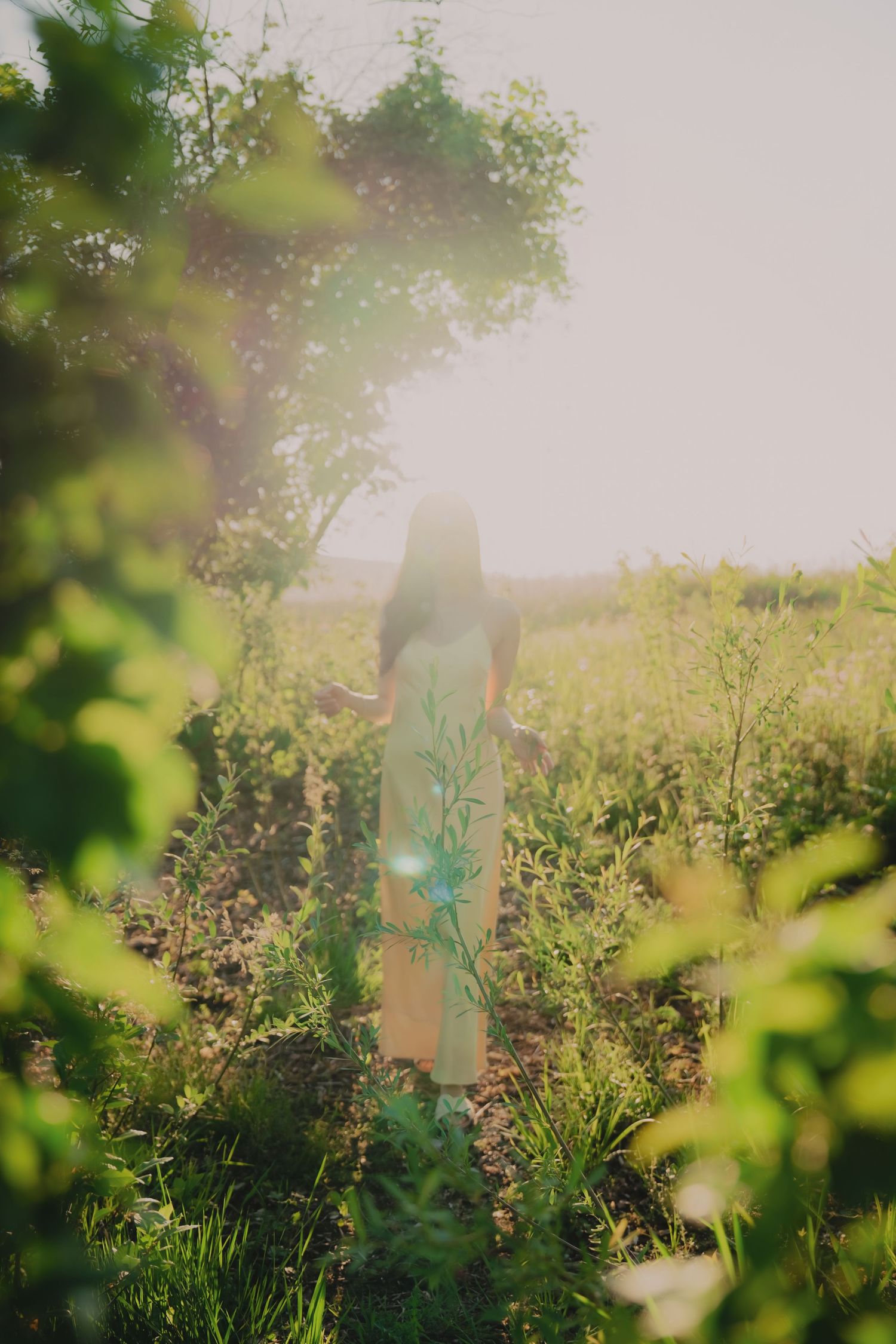 Woman in white dress standing in sunlit green field surrounded by lush plants and trees with golden hour lens flare.