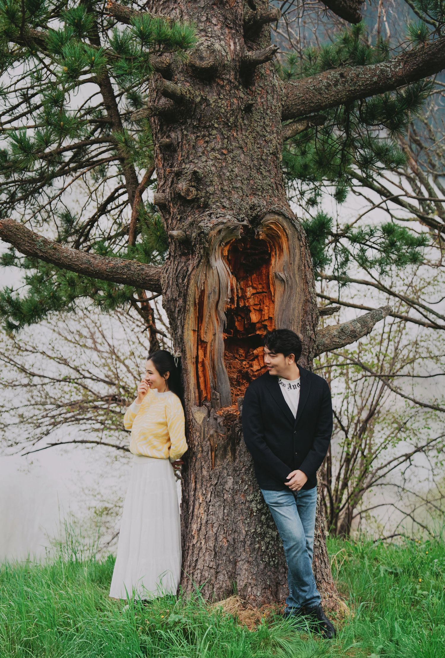 Couple posing on either side of a large weathered tree with exposed wood on a green hillside.
