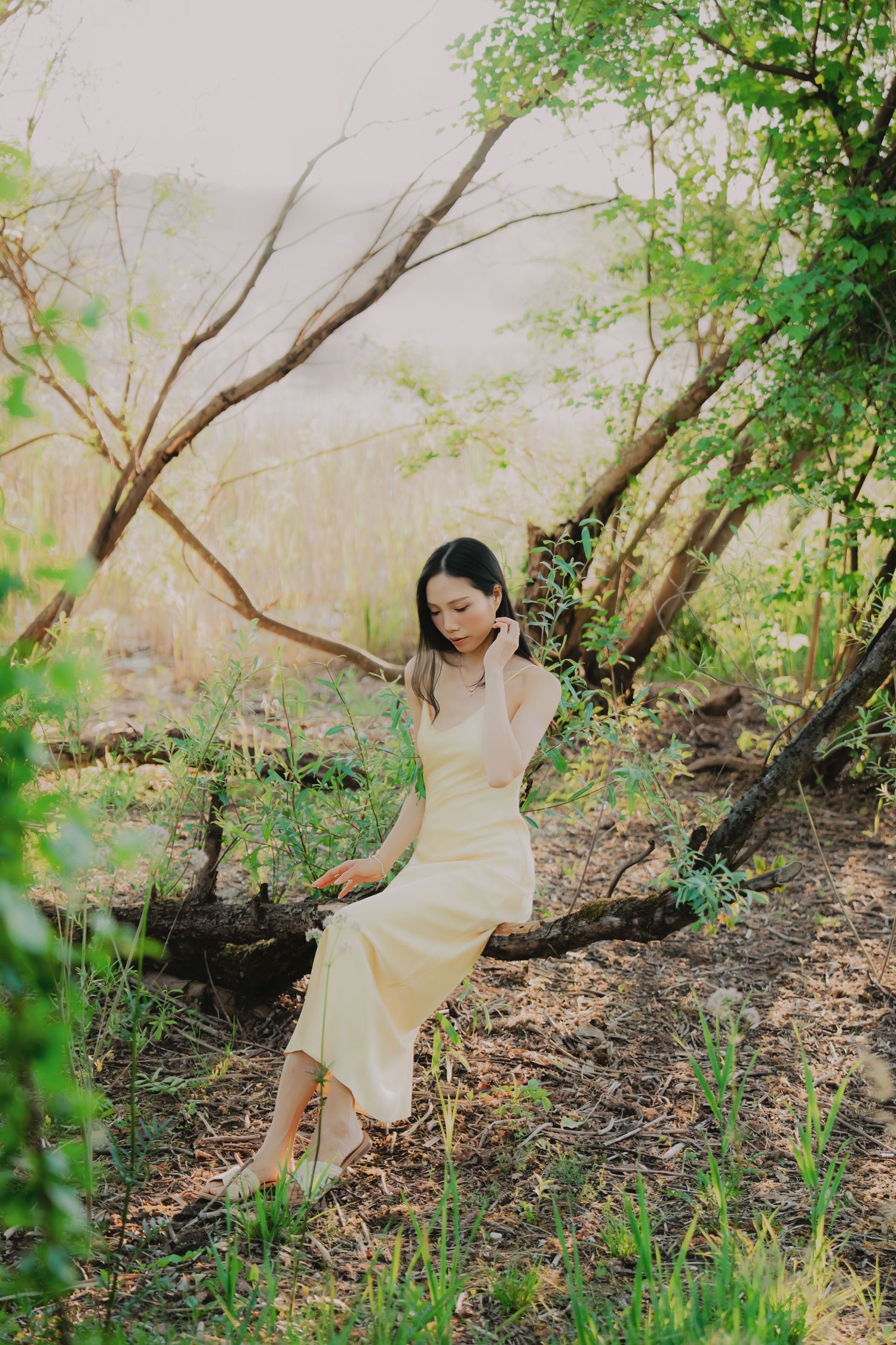 Young woman in yellow dress sitting on tree branch in lush green forest during golden hour.