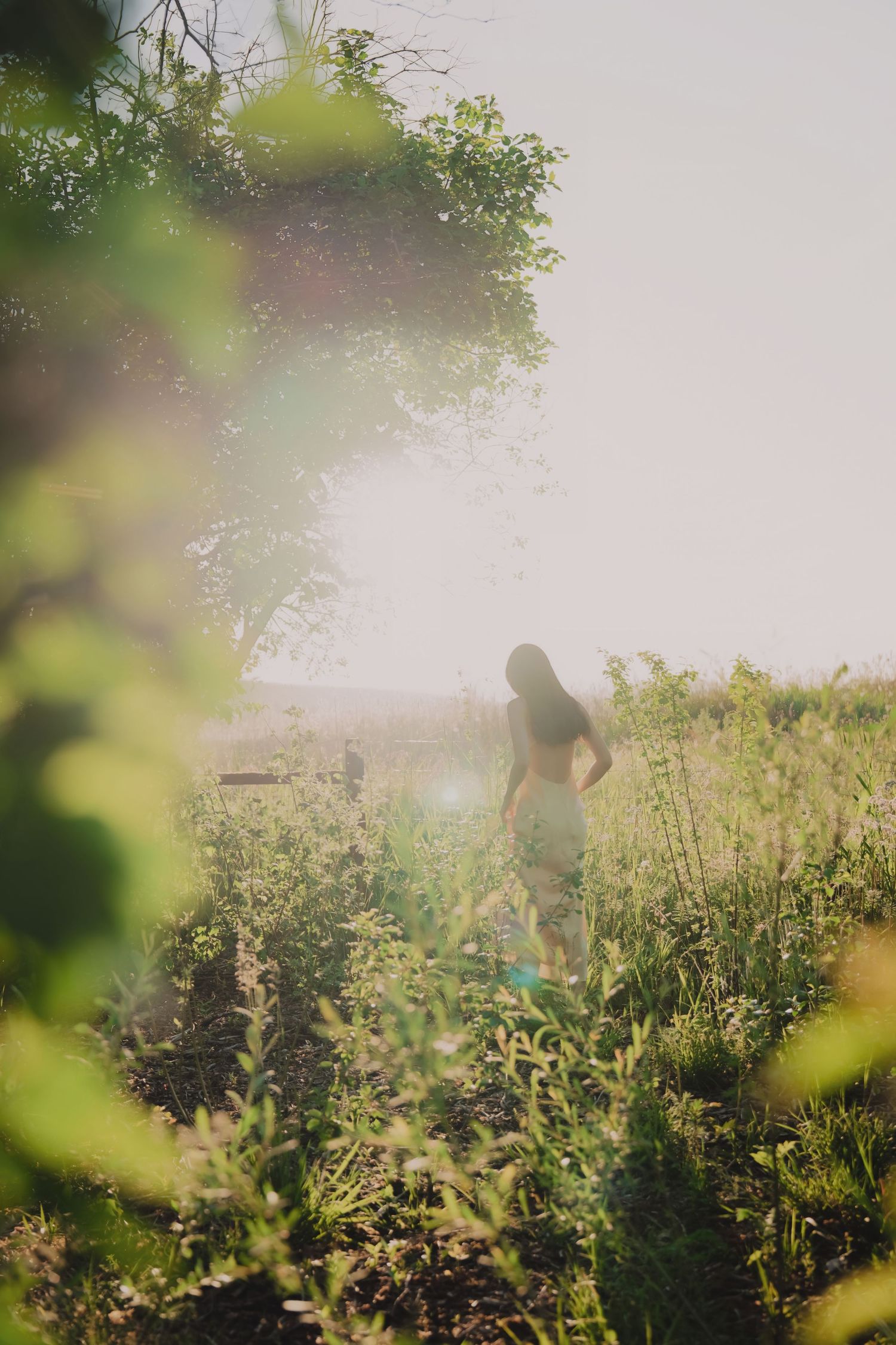 A woman in a dress stands among lush green wildflowers in a sunlit field with a glowing lens flare.