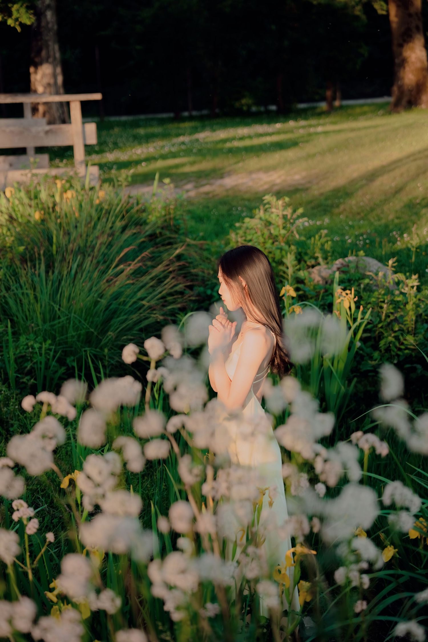 Woman in cream dress standing among white fluffy wildflowers in a sunlit garden with soft golden evening light.