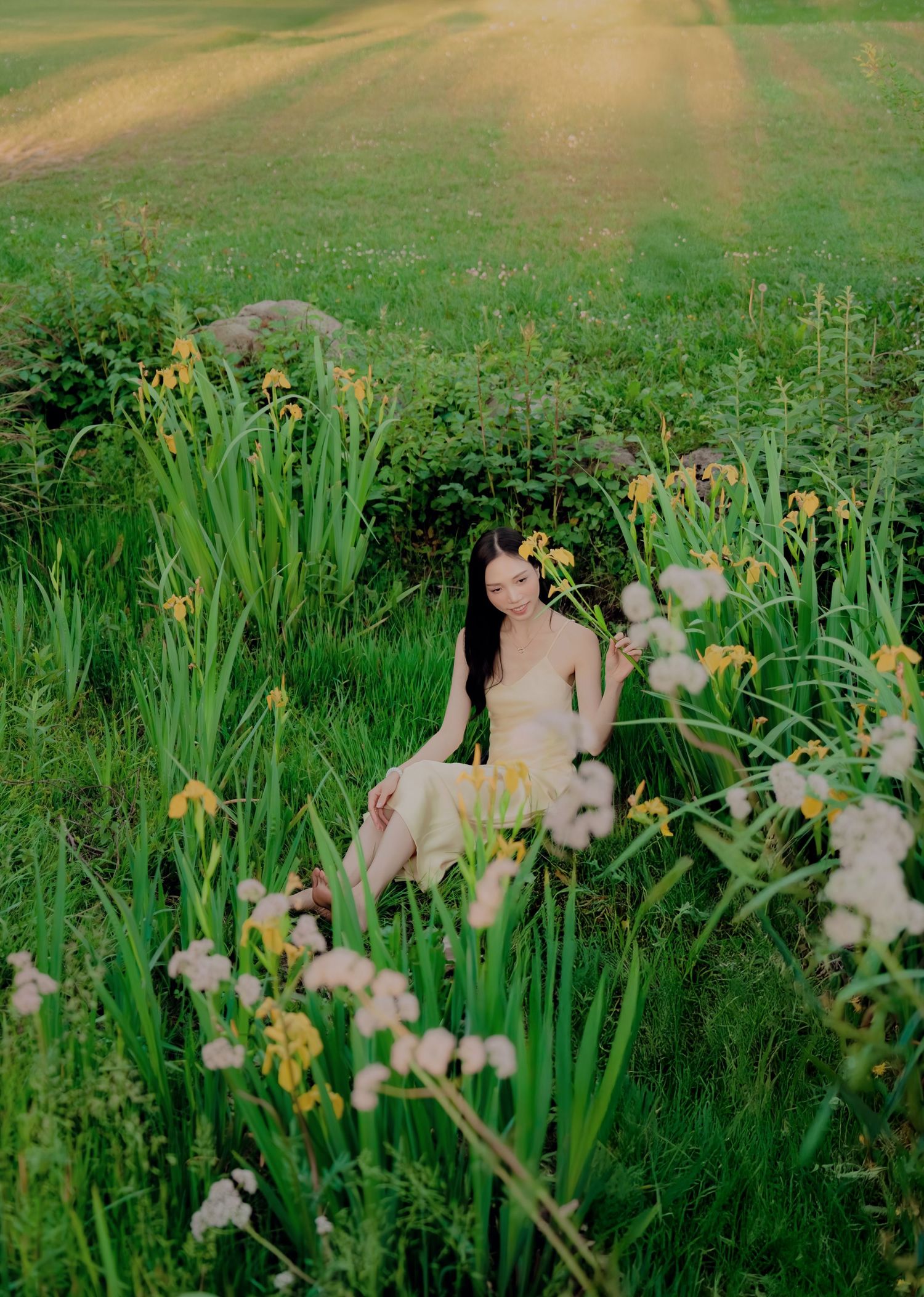 A woman sits among yellow iris flowers and wildflowers in a sunlit green meadow at golden hour.