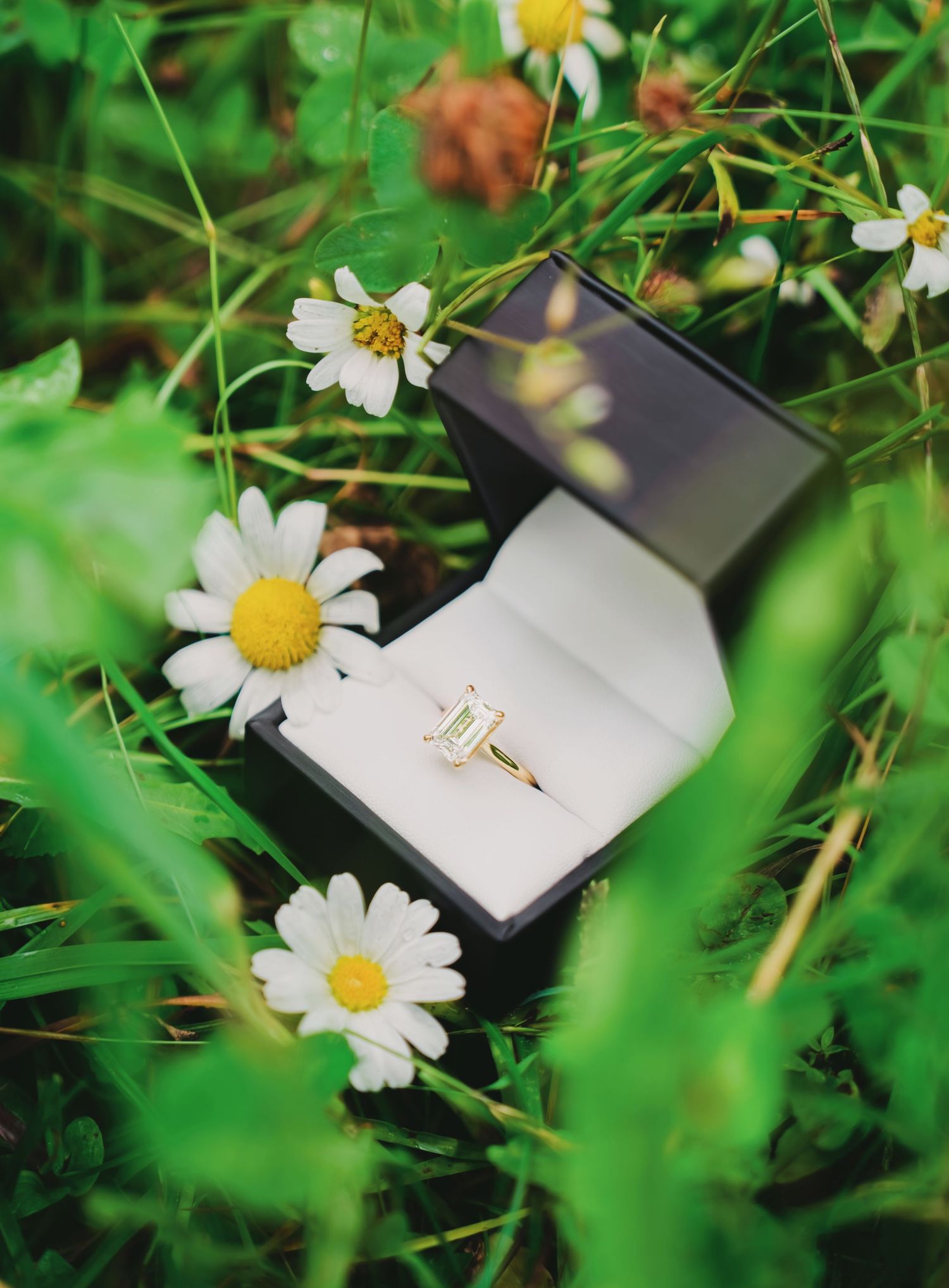 Gold engagement ring with emerald-cut green stone in black box surrounded by white daisies in lush green grass.