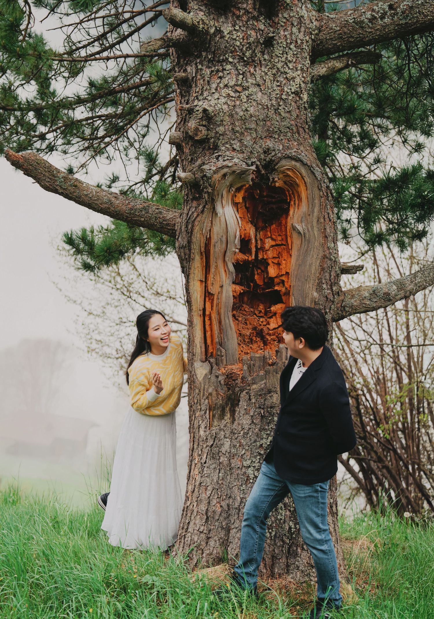 Laughing couple standing beside a large weathered tree with exposed hollow trunk in a misty outdoor setting.