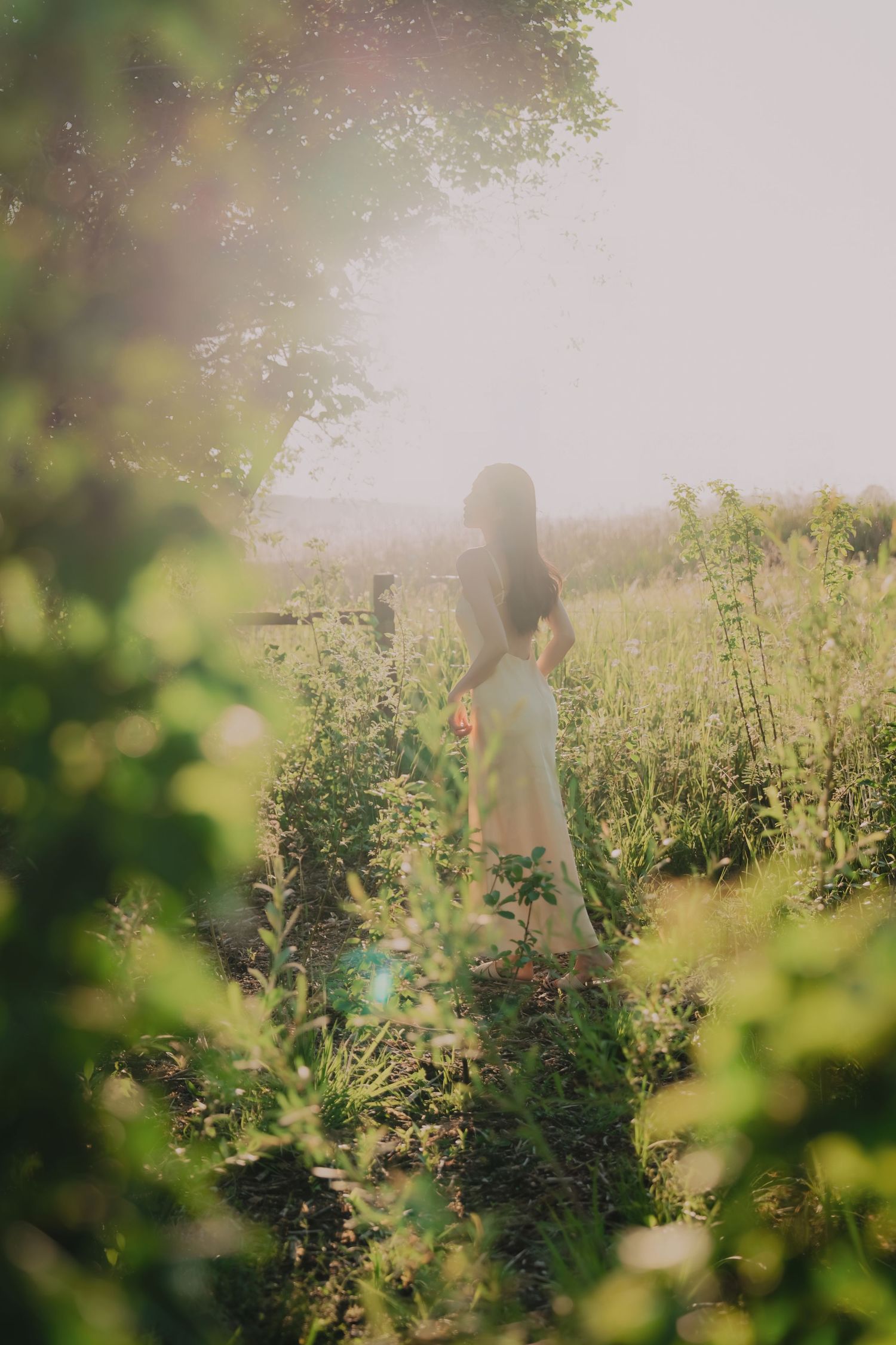 Woman in white dress standing in sunlit green field surrounded by lush foliage and trees.