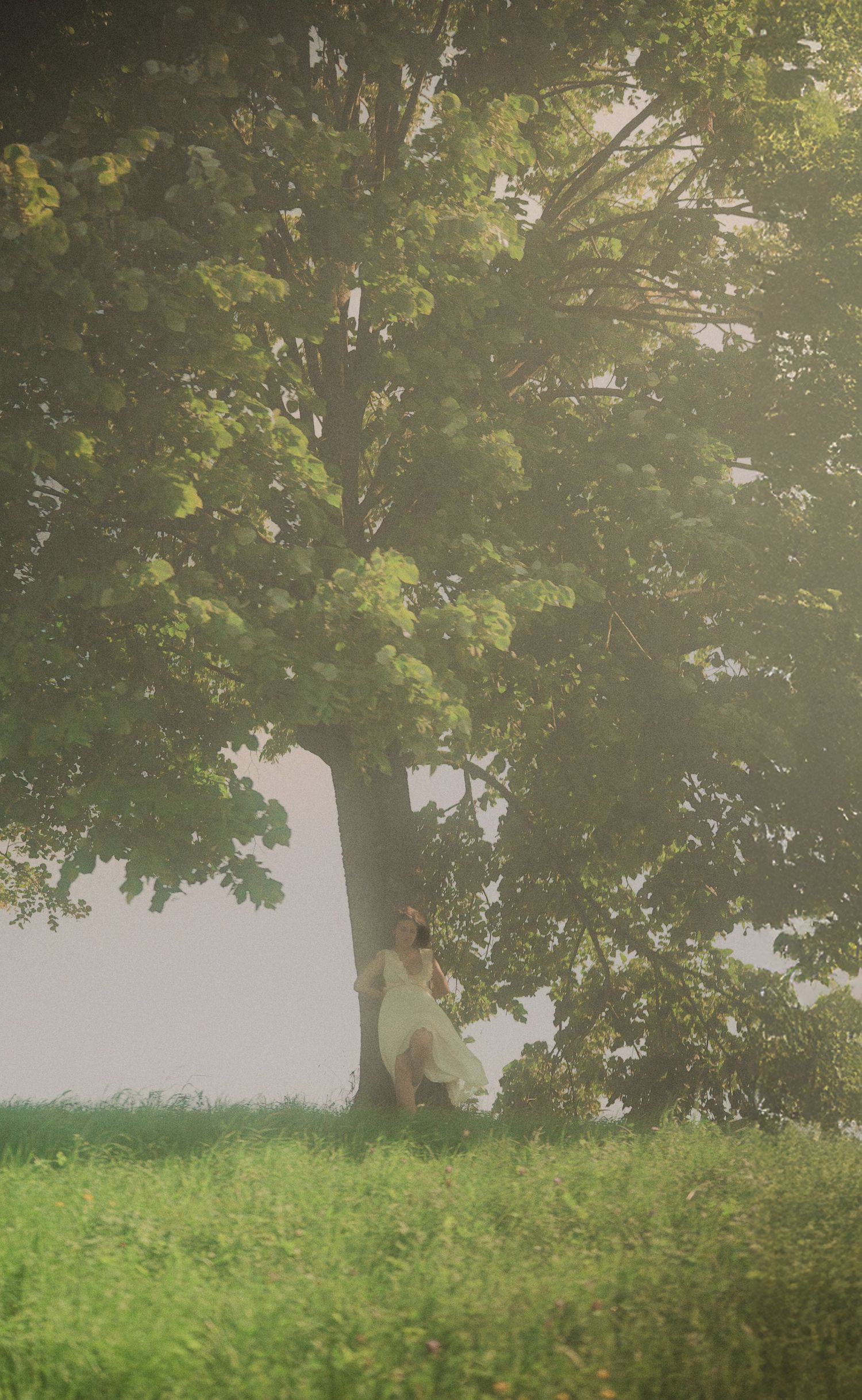 Woman in white dress leaning against large tree trunk in sunlit green meadow.